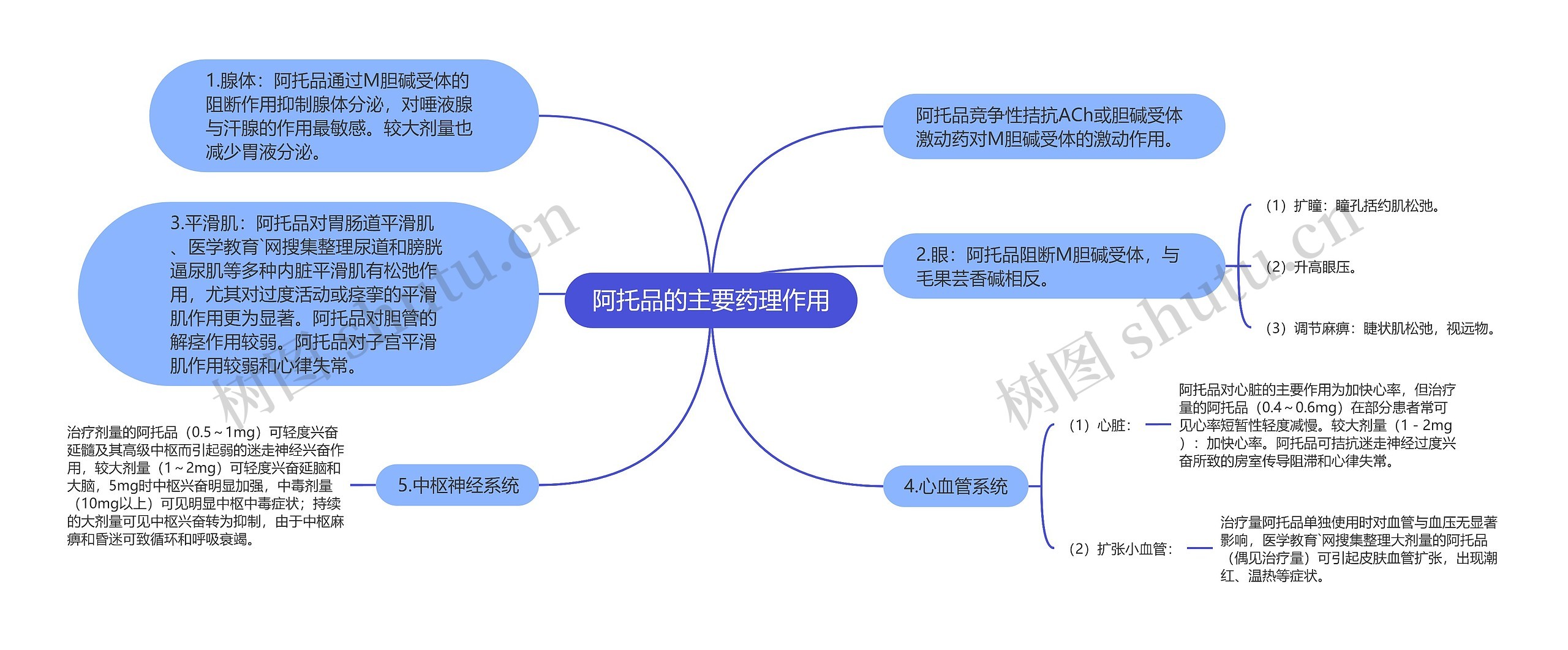 阿托品的主要药理作用