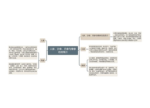 人参、沙参、丹参与拳参功效简介