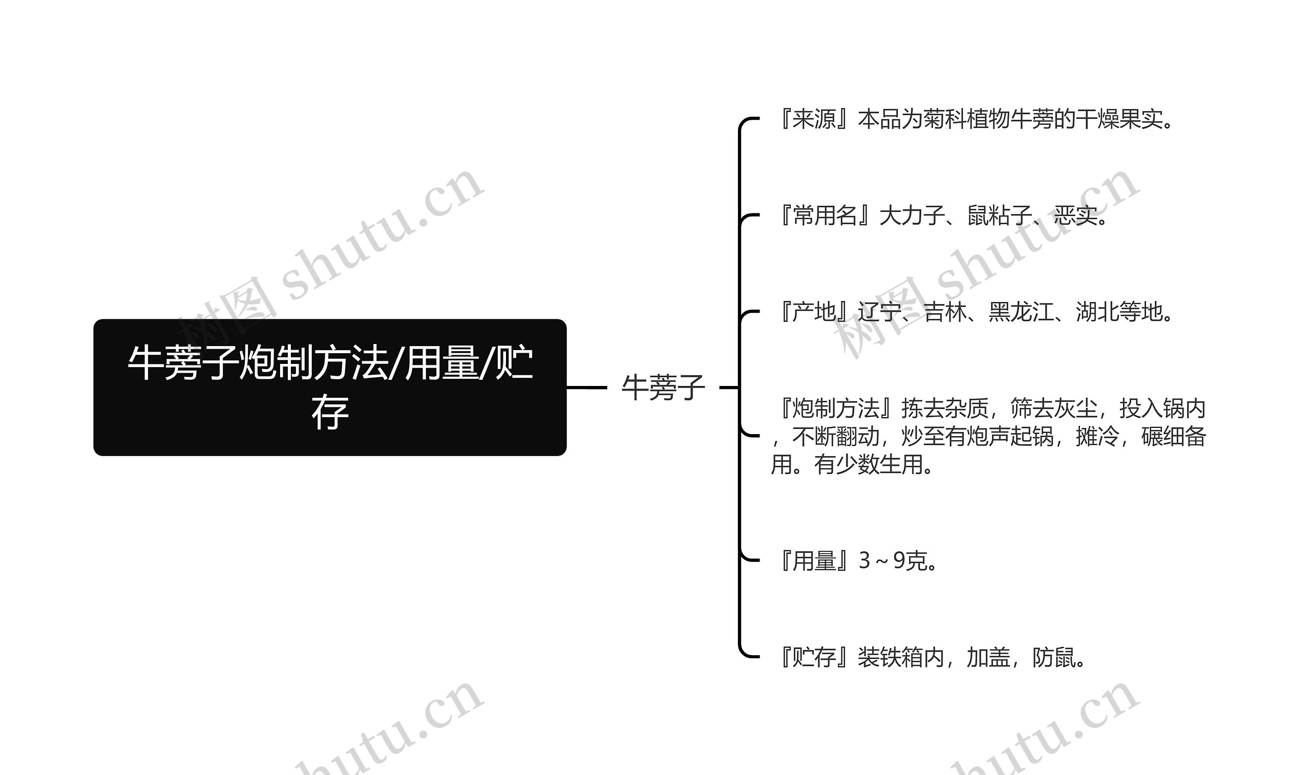 牛蒡子炮制方法/用量/贮存