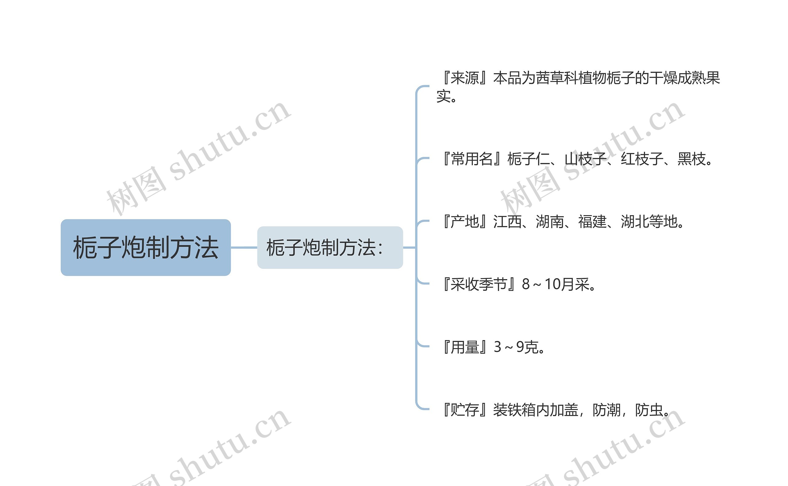 栀子炮制方法思维导图