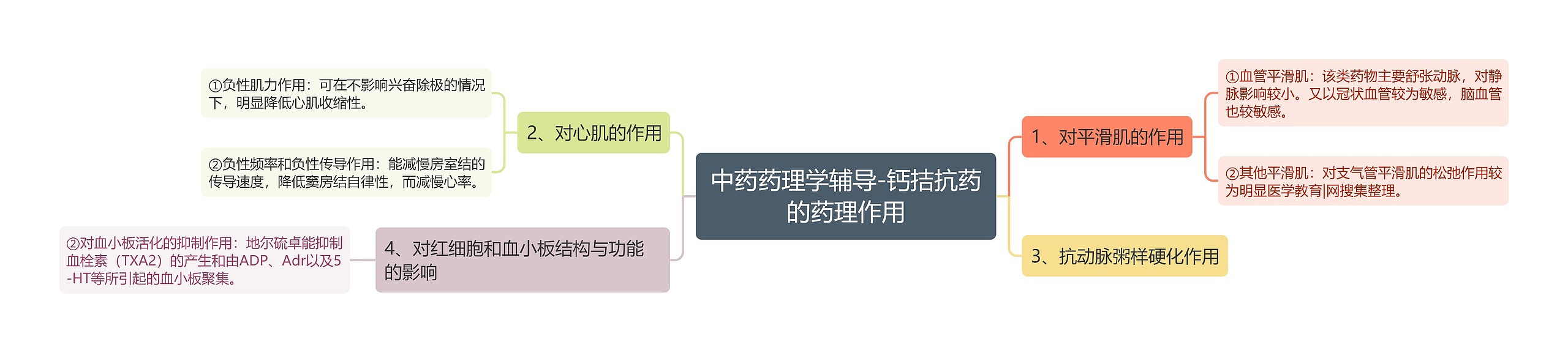 中药药理学辅导-钙拮抗药的药理作用思维导图