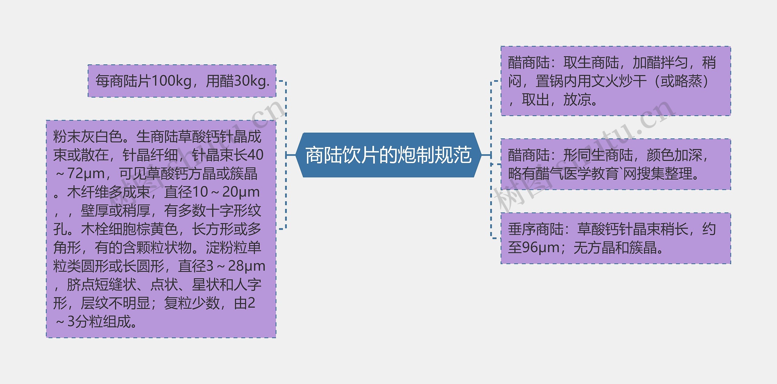 商陆饮片的炮制规范思维导图