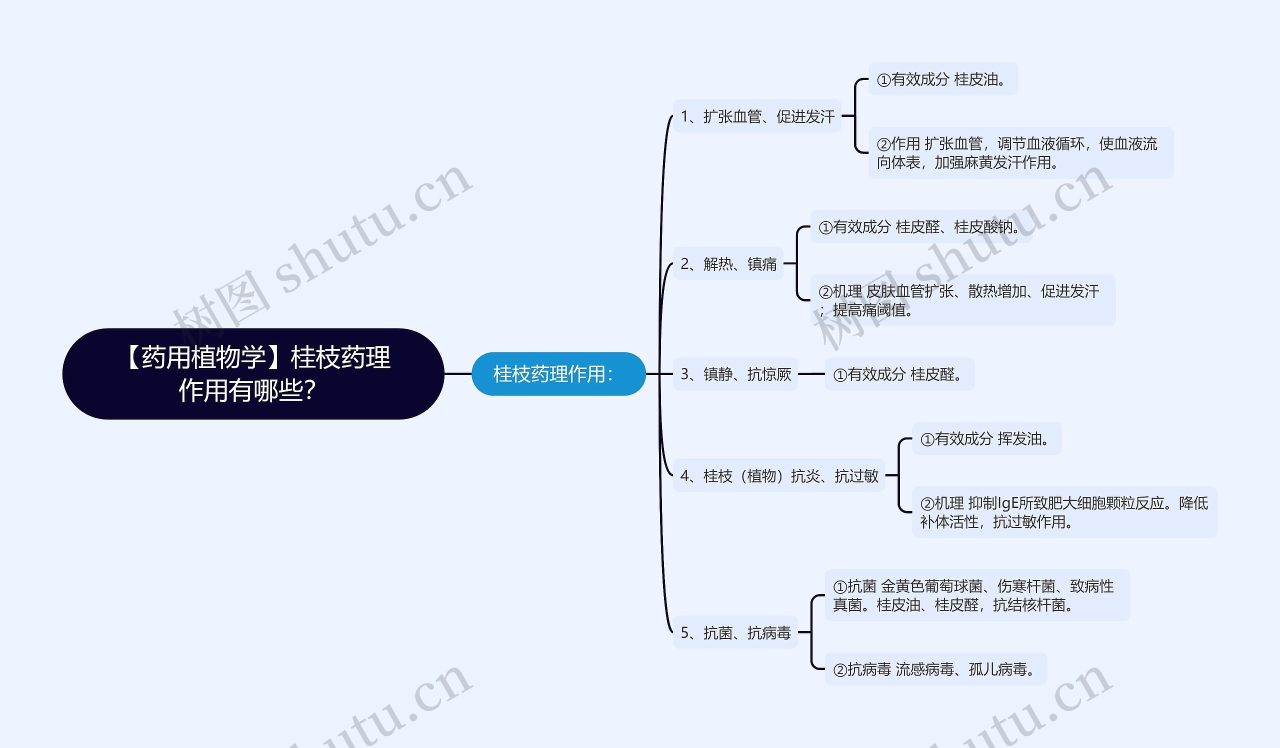 【药用植物学】桂枝药理作用有哪些？思维导图