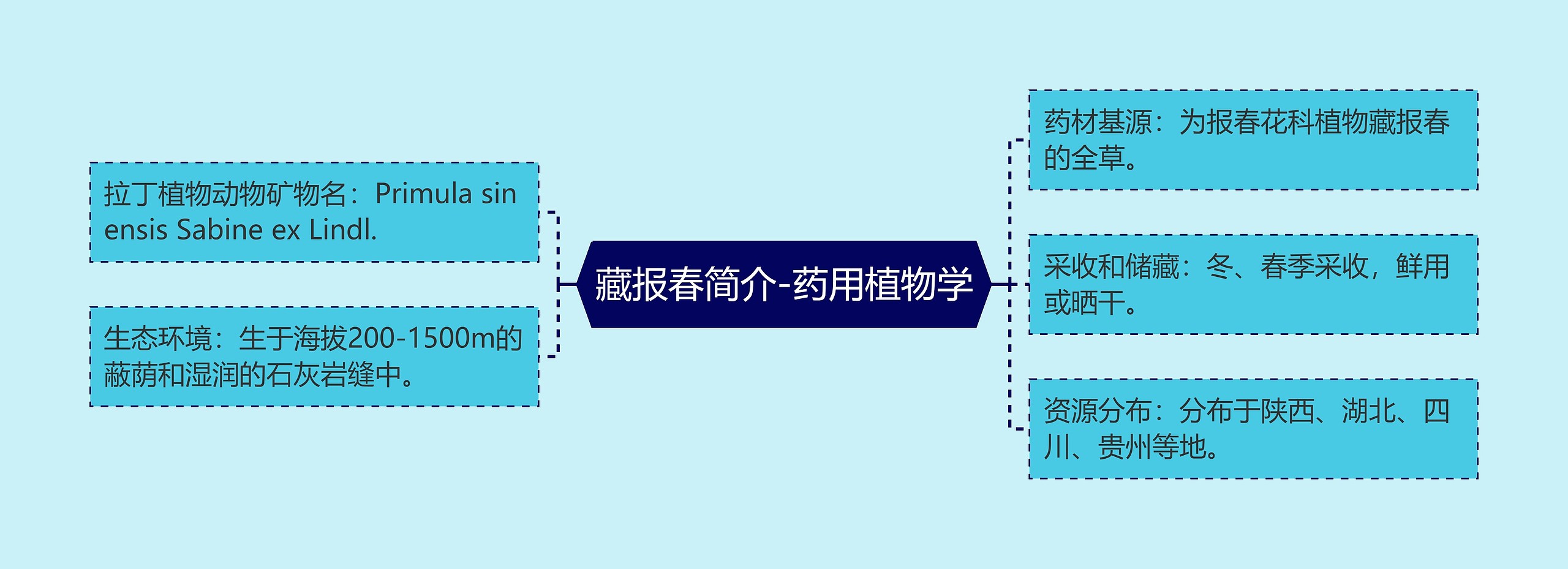 藏报春简介-药用植物学思维导图