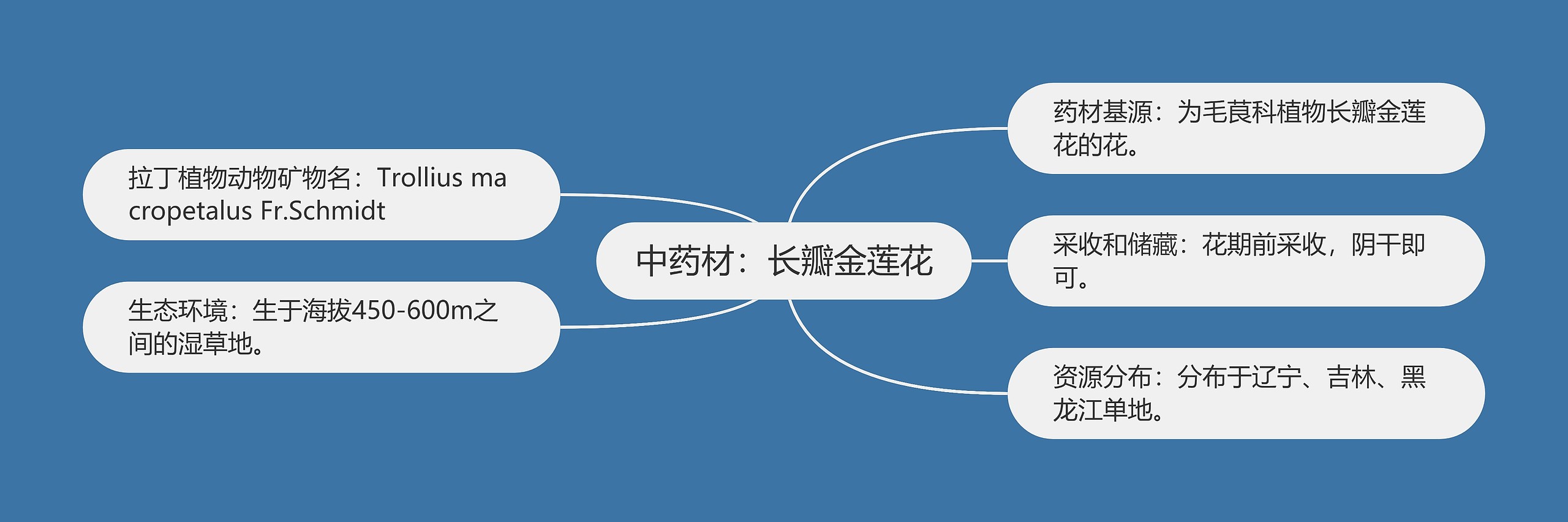 中药材:长瓣金莲花 中药材:长瓣金莲花