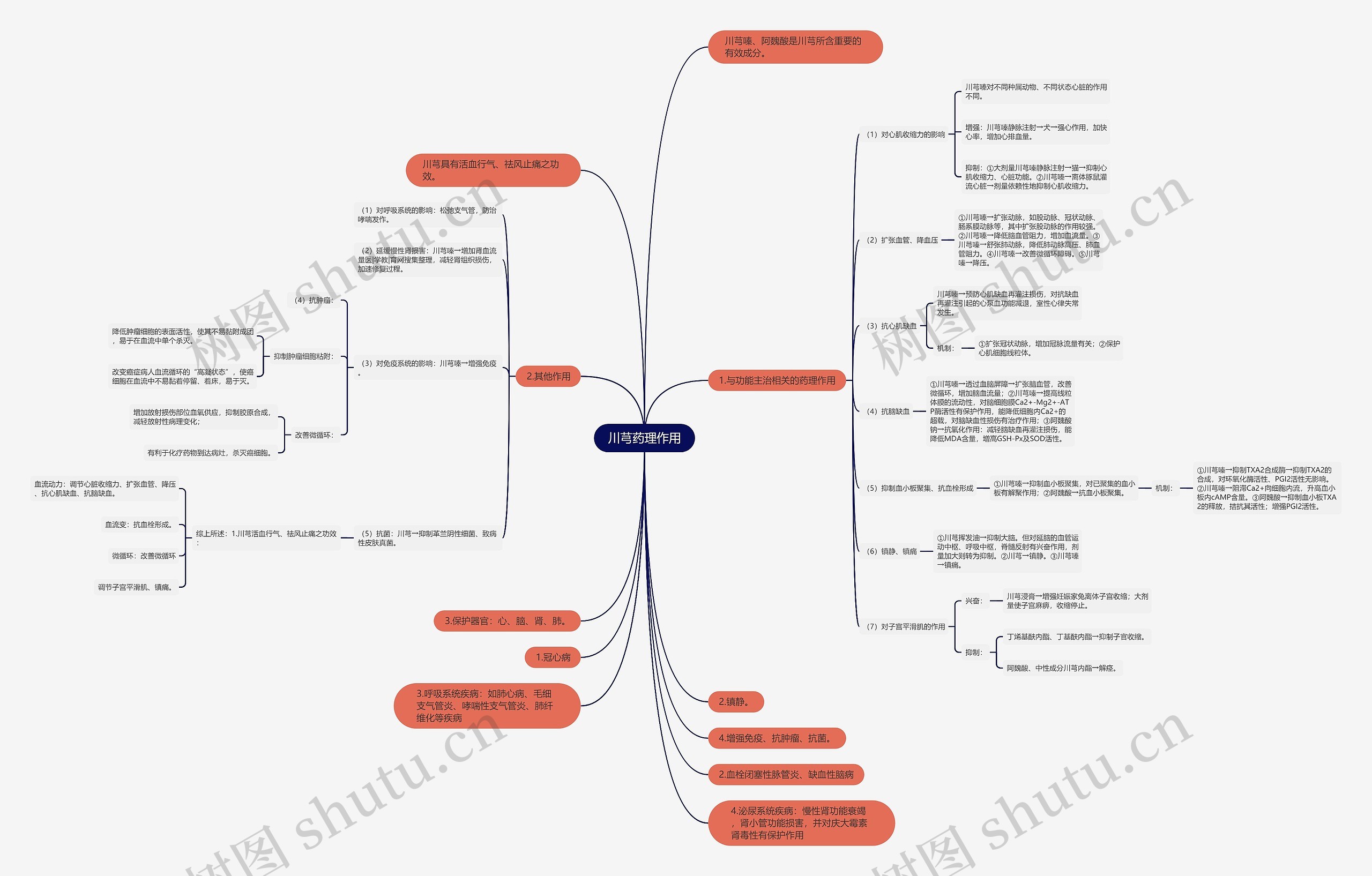 川芎药理作用思维导图
