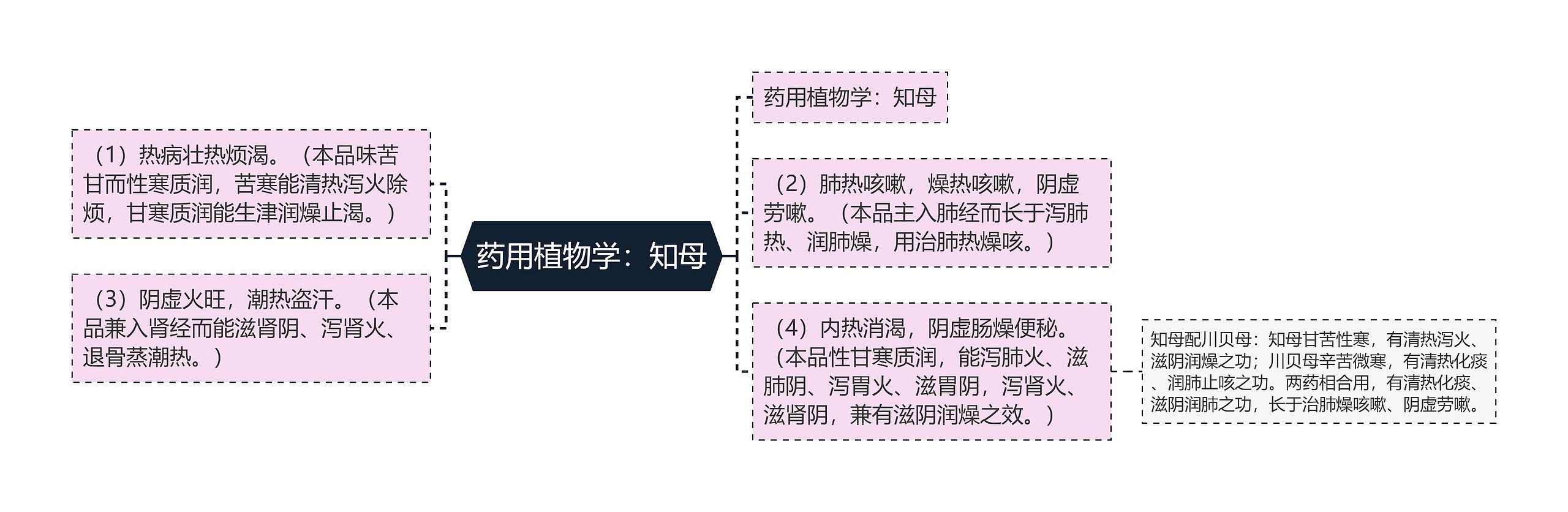 药用植物学：知母思维导图