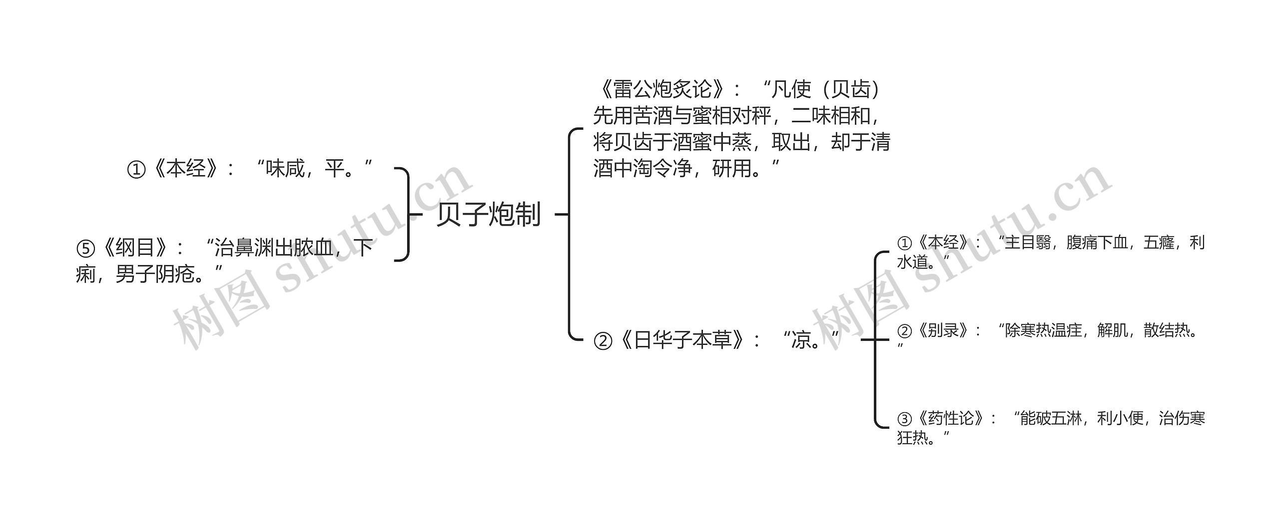 贝子炮制思维导图