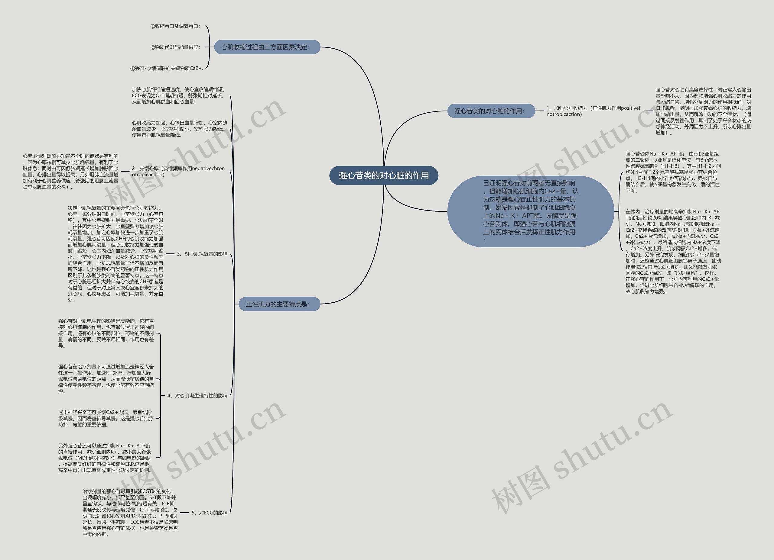 强心苷类的对心脏的作用思维导图