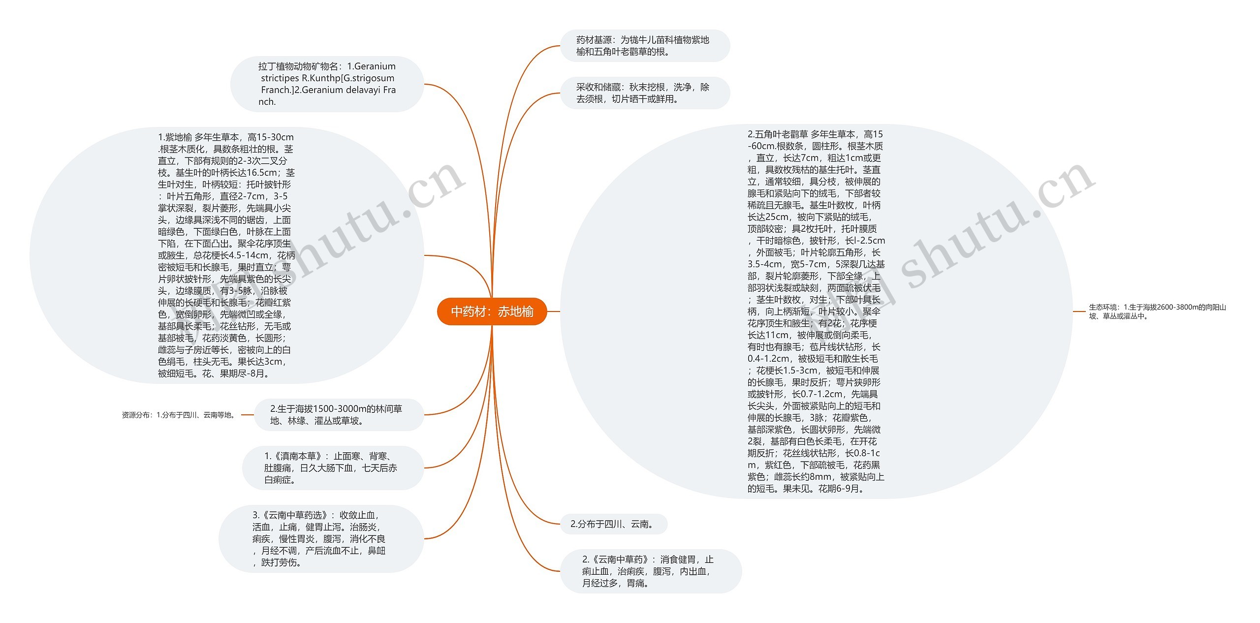 中药材：赤地榆思维导图