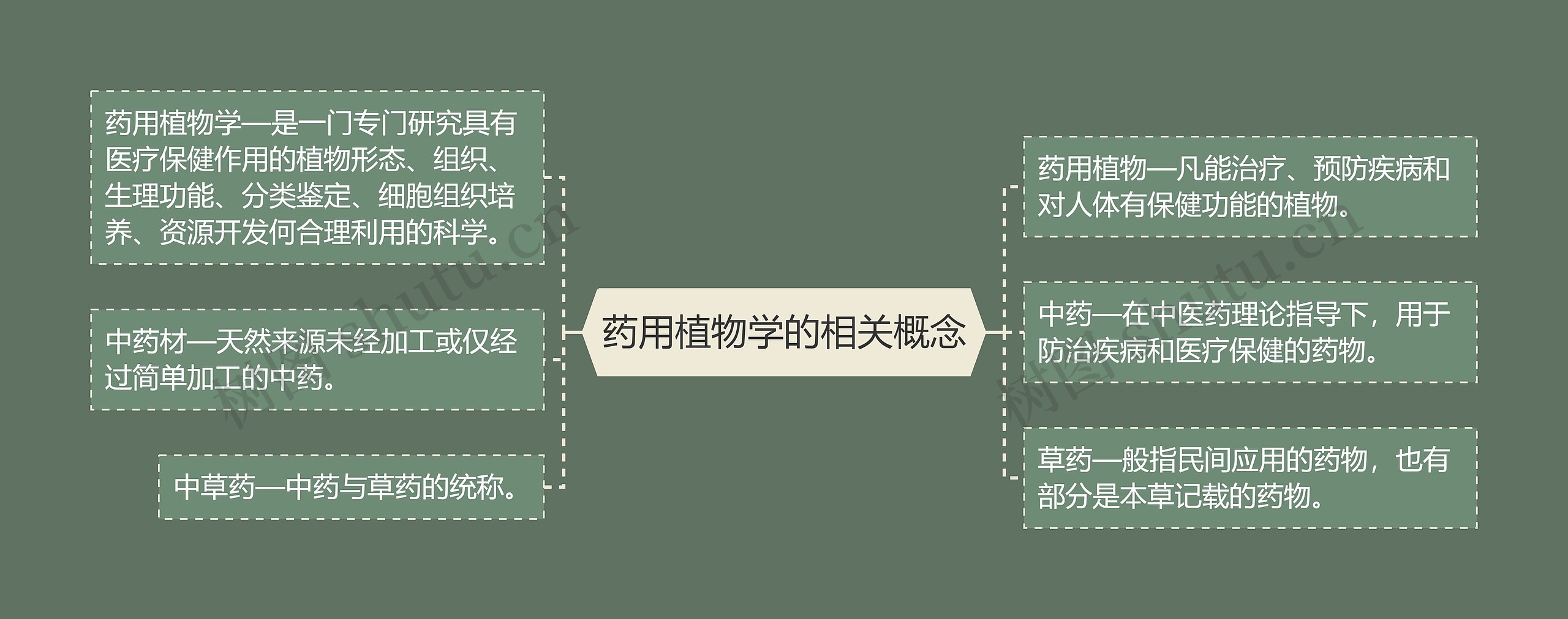 药用植物学的相关概念 药用植物学的相关概念