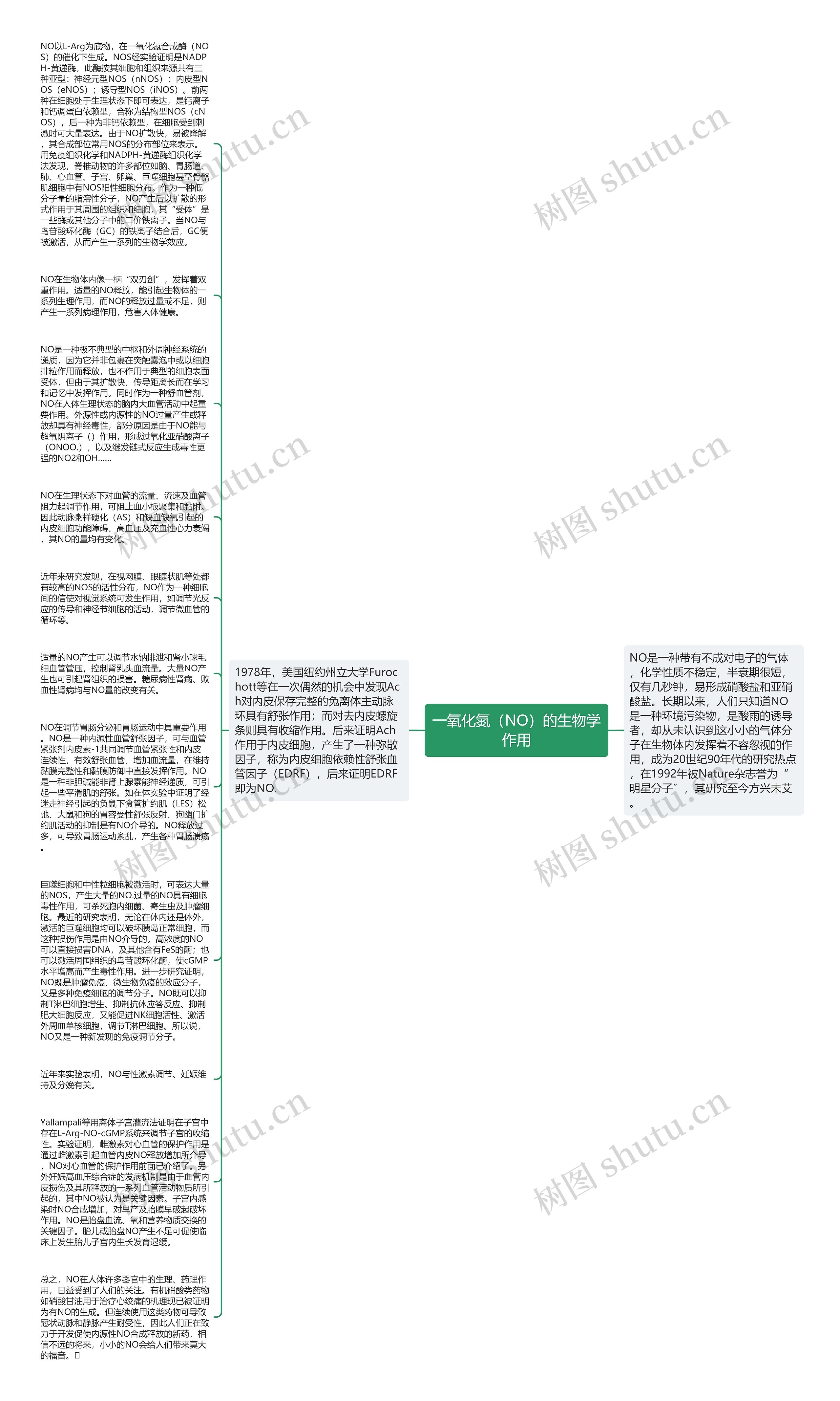 一氧化氮（NO）的生物学作用思维导图