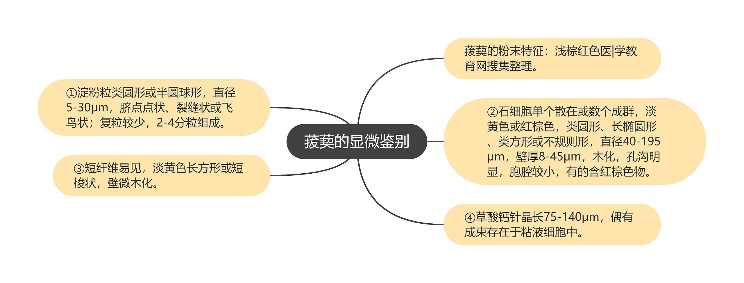 菝葜的显微鉴别思维导图