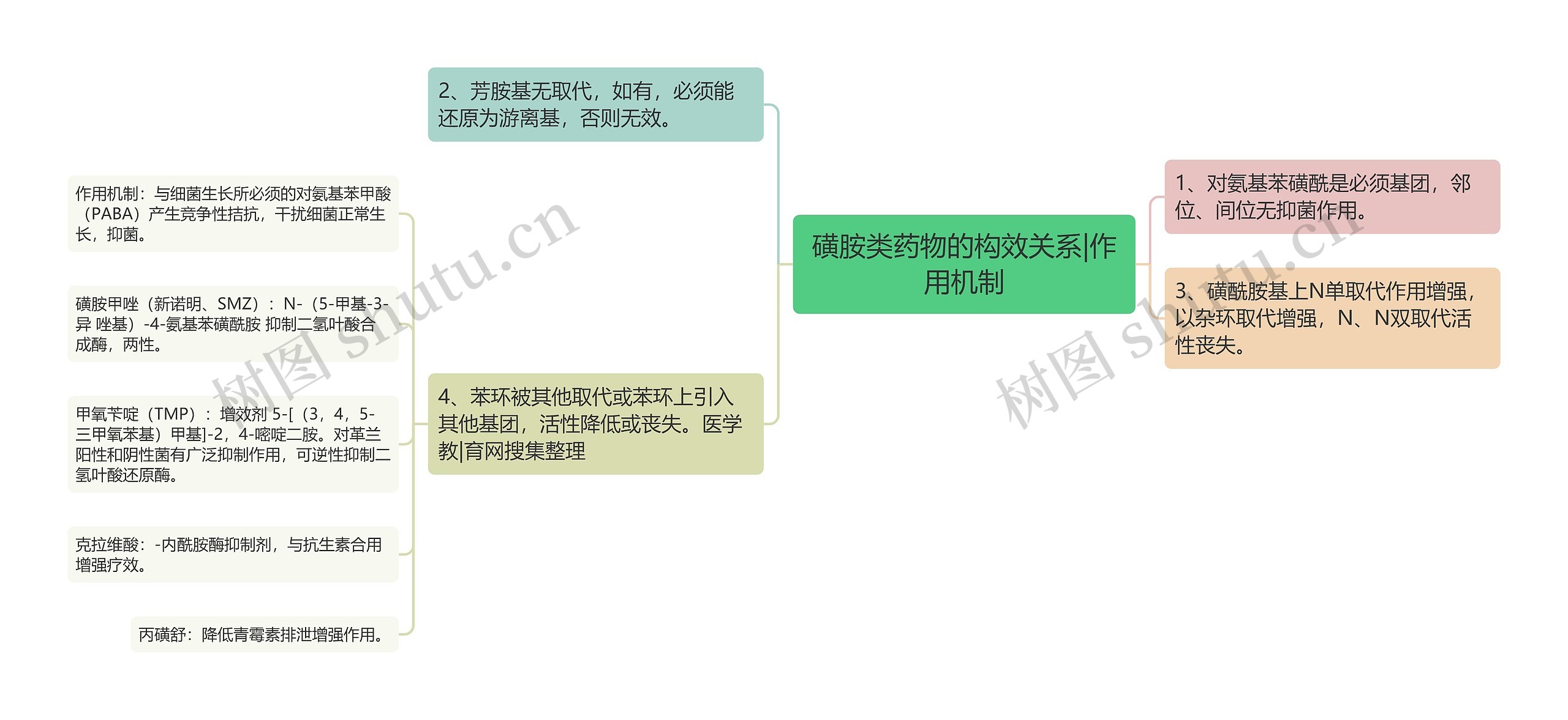 磺胺类药物的构效关系|作用机制思维导图