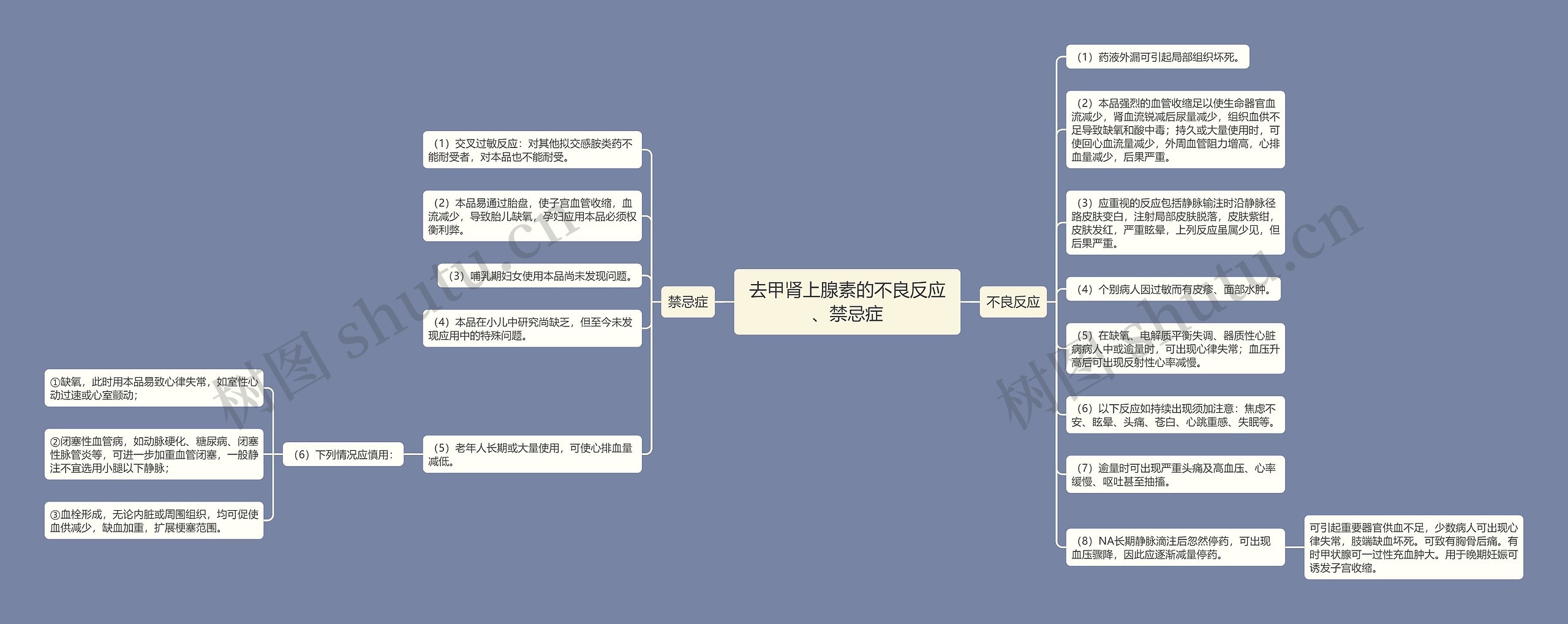 去甲肾上腺素的不良反应、禁忌症思维导图