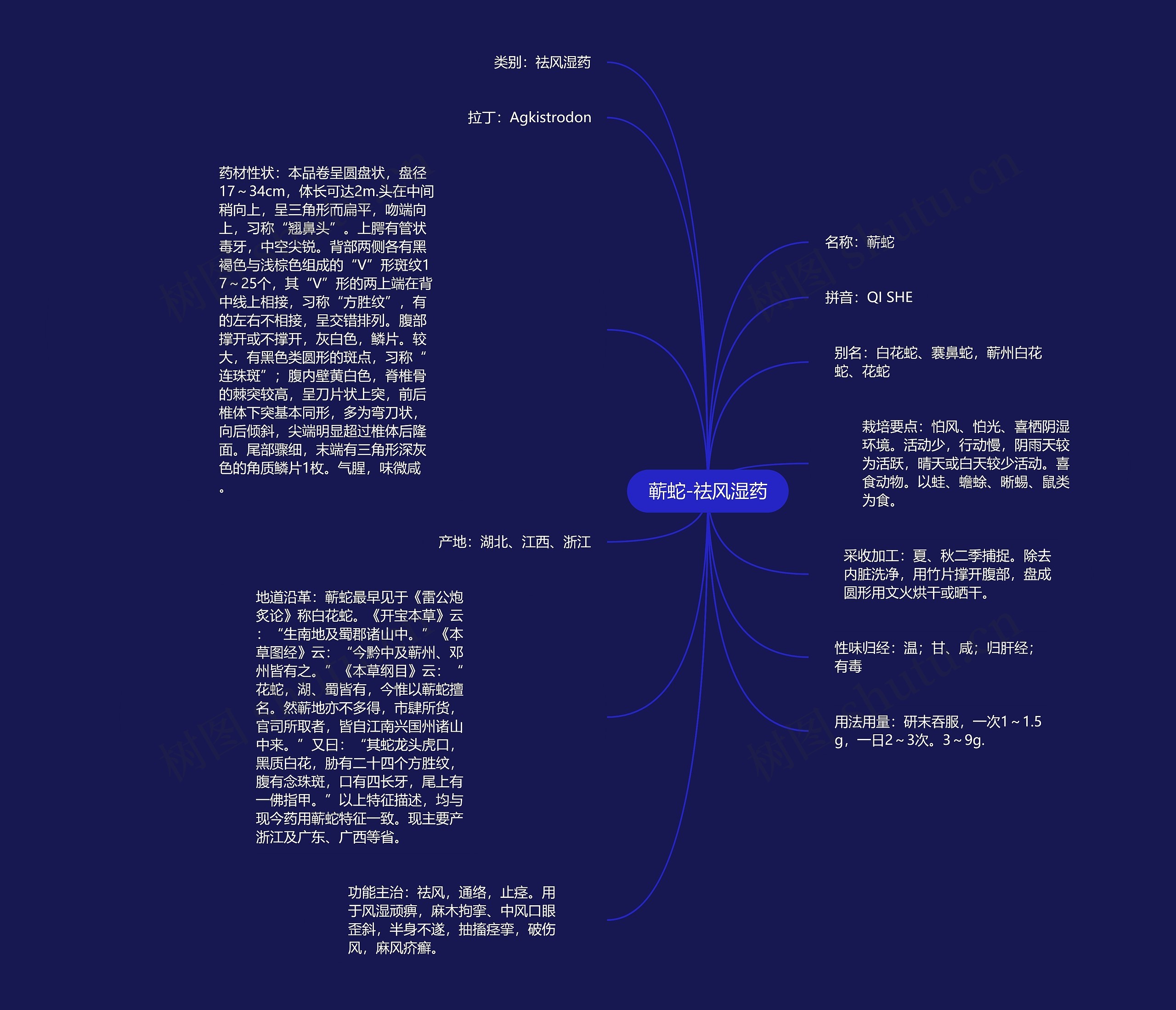 蕲蛇-祛风湿药思维导图