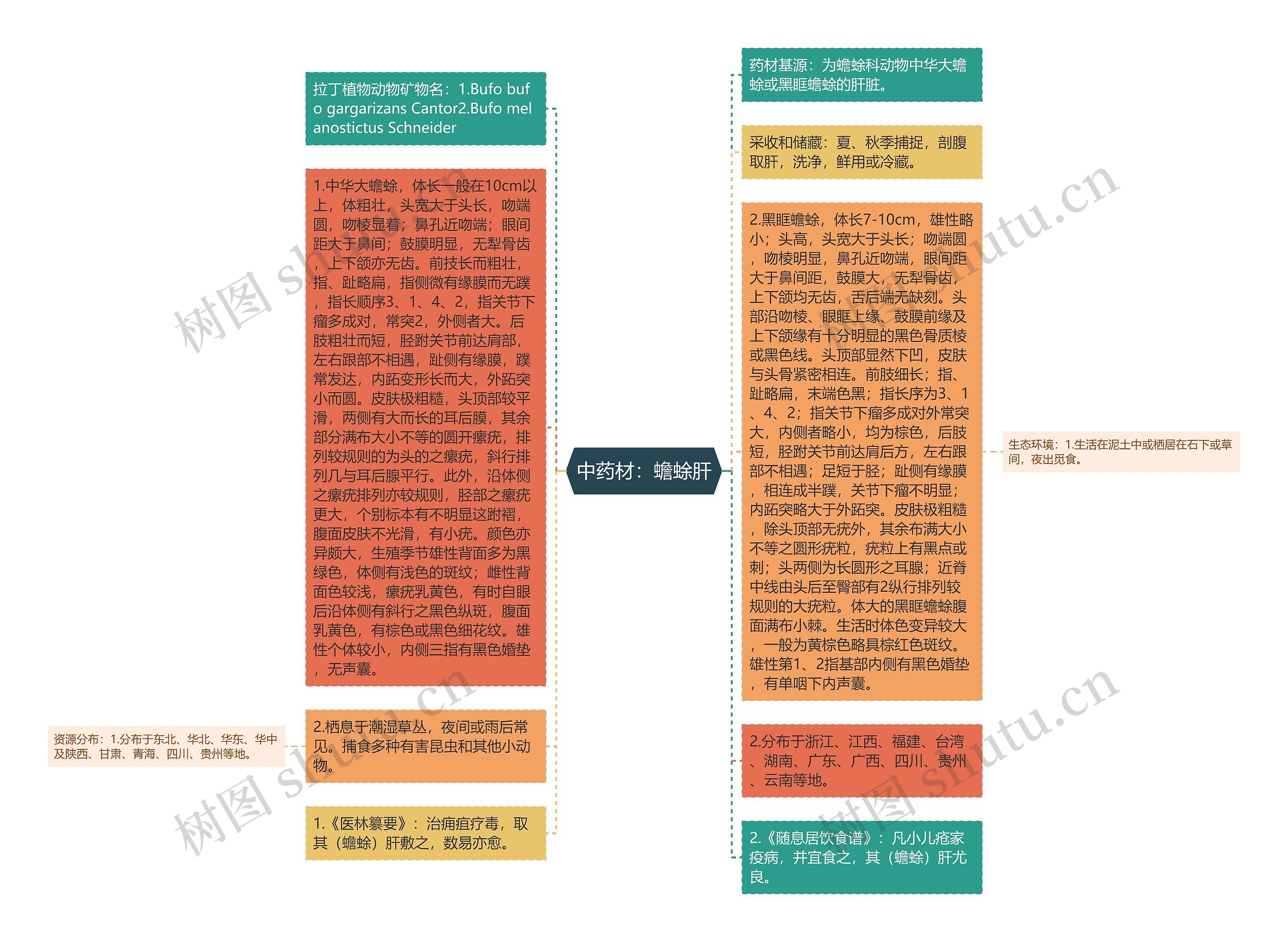 中药材：蟾蜍肝思维导图