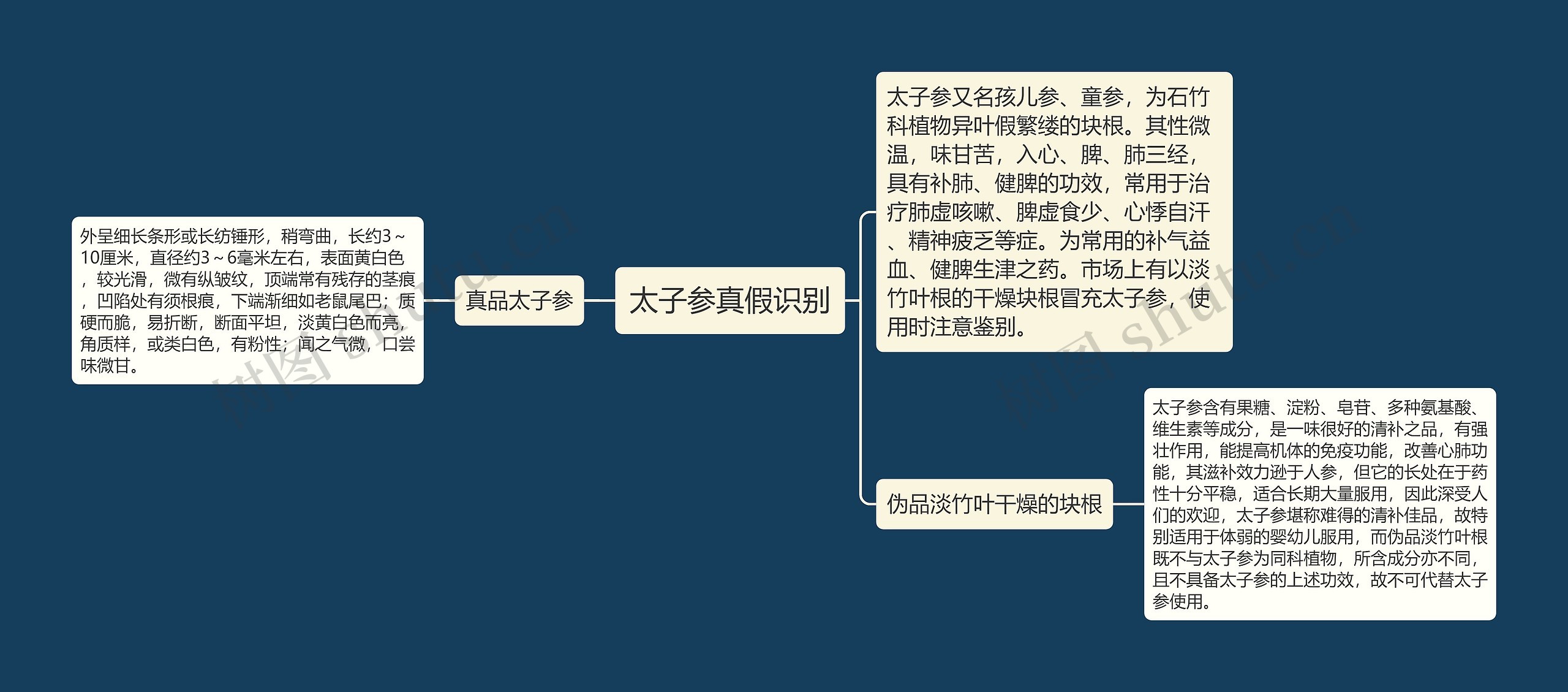 太子参真假识别