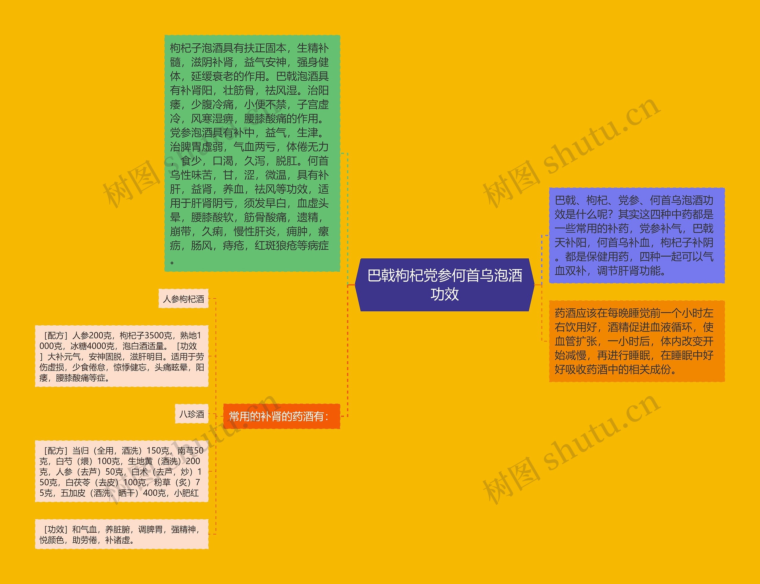 巴戟枸杞党参何首乌泡酒功效思维导图