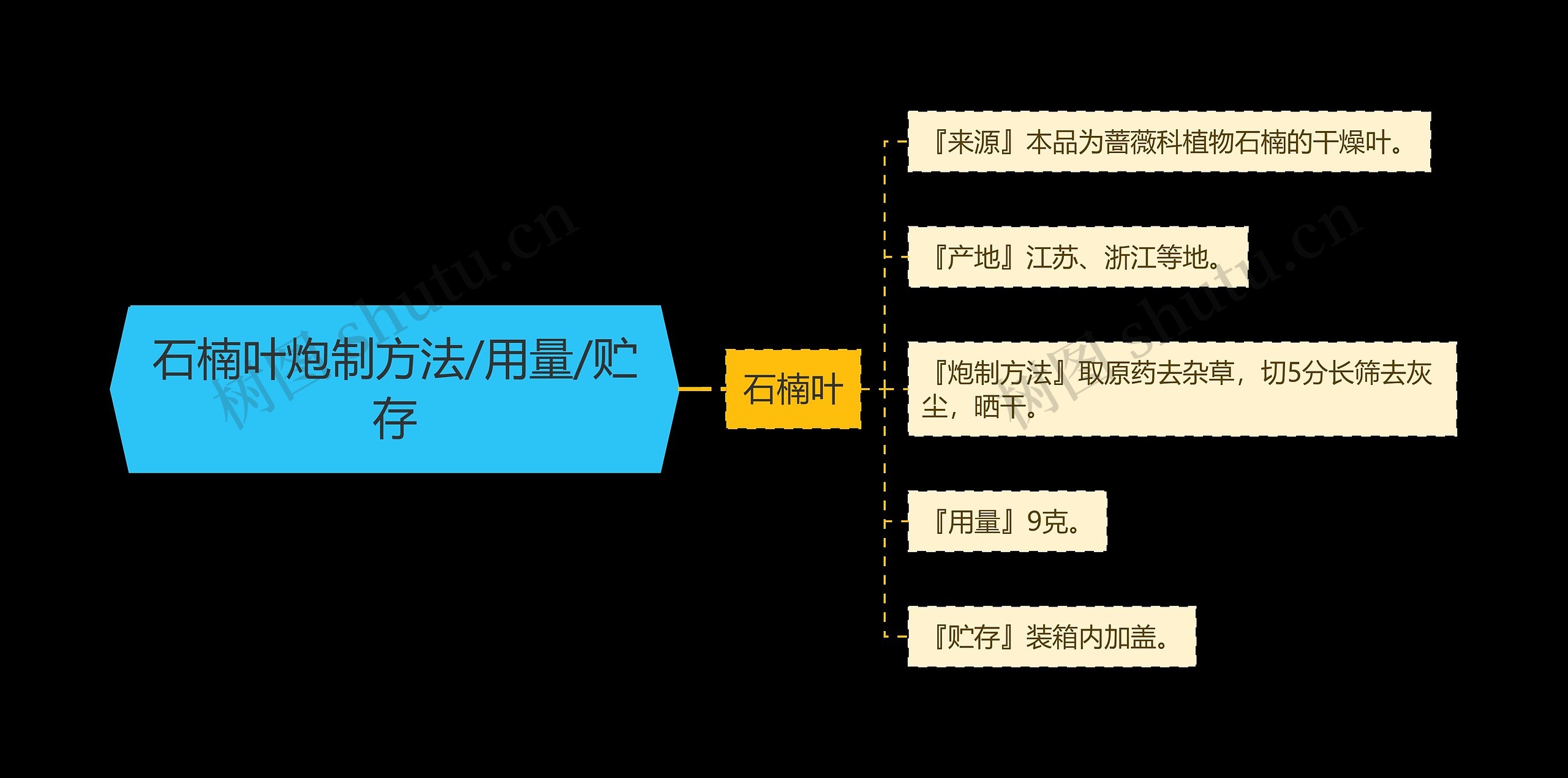 石楠叶炮制方法/用量/贮存思维导图