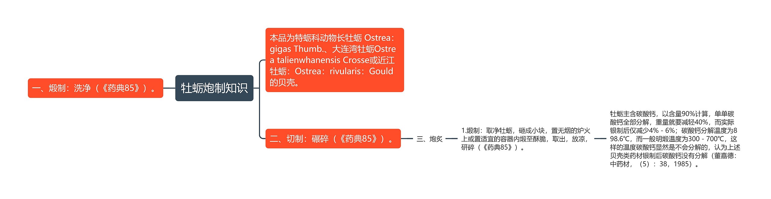 牡蛎炮制知识思维导图