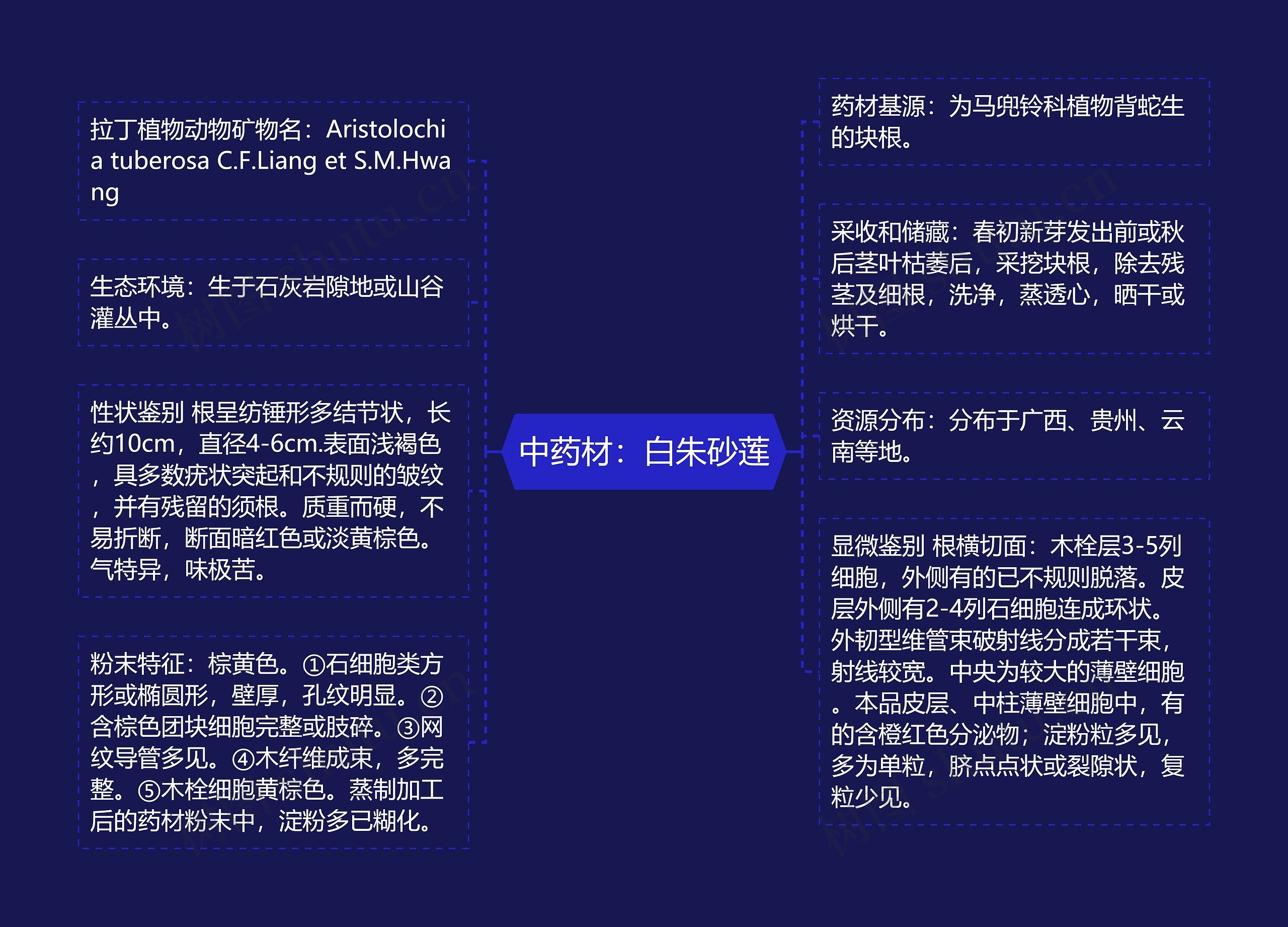 中药材：白朱砂莲思维导图