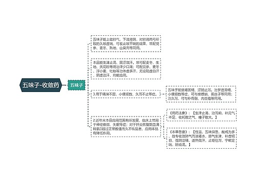 五味子-收敛药