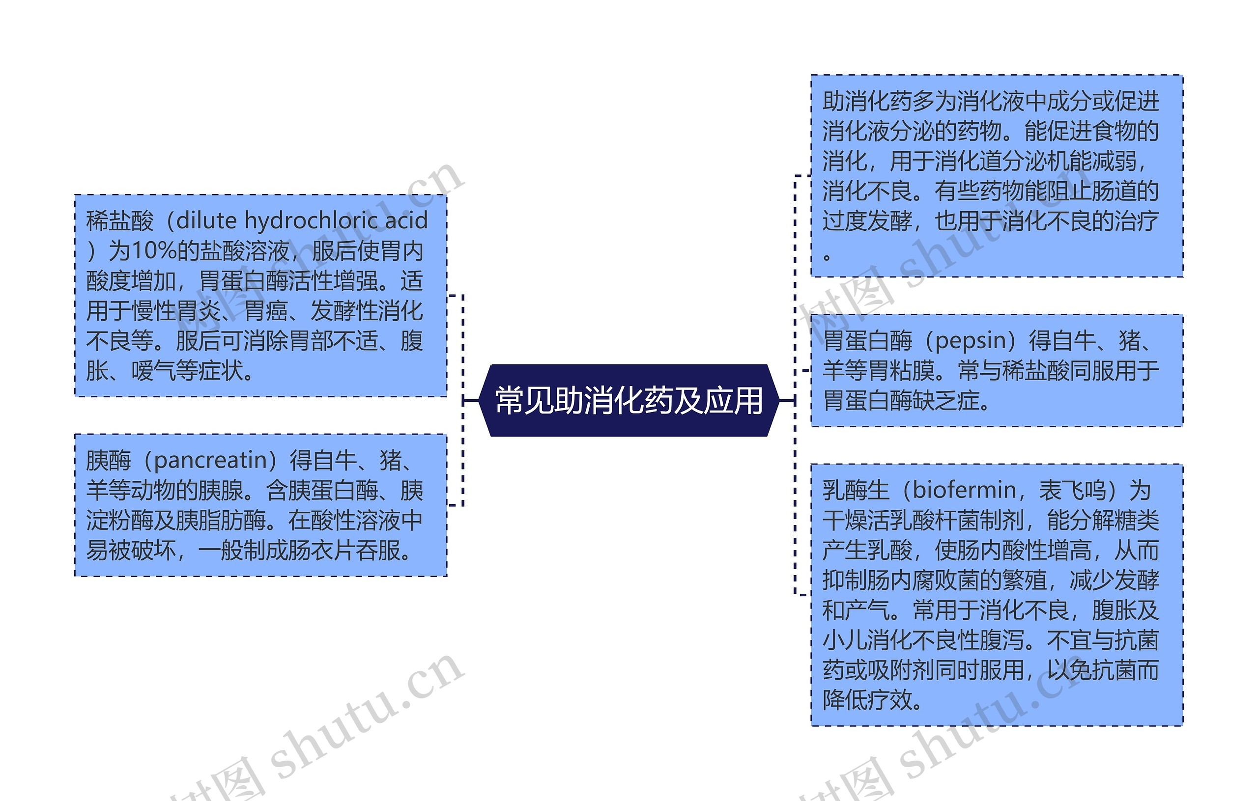 常见助消化药及应用思维导图