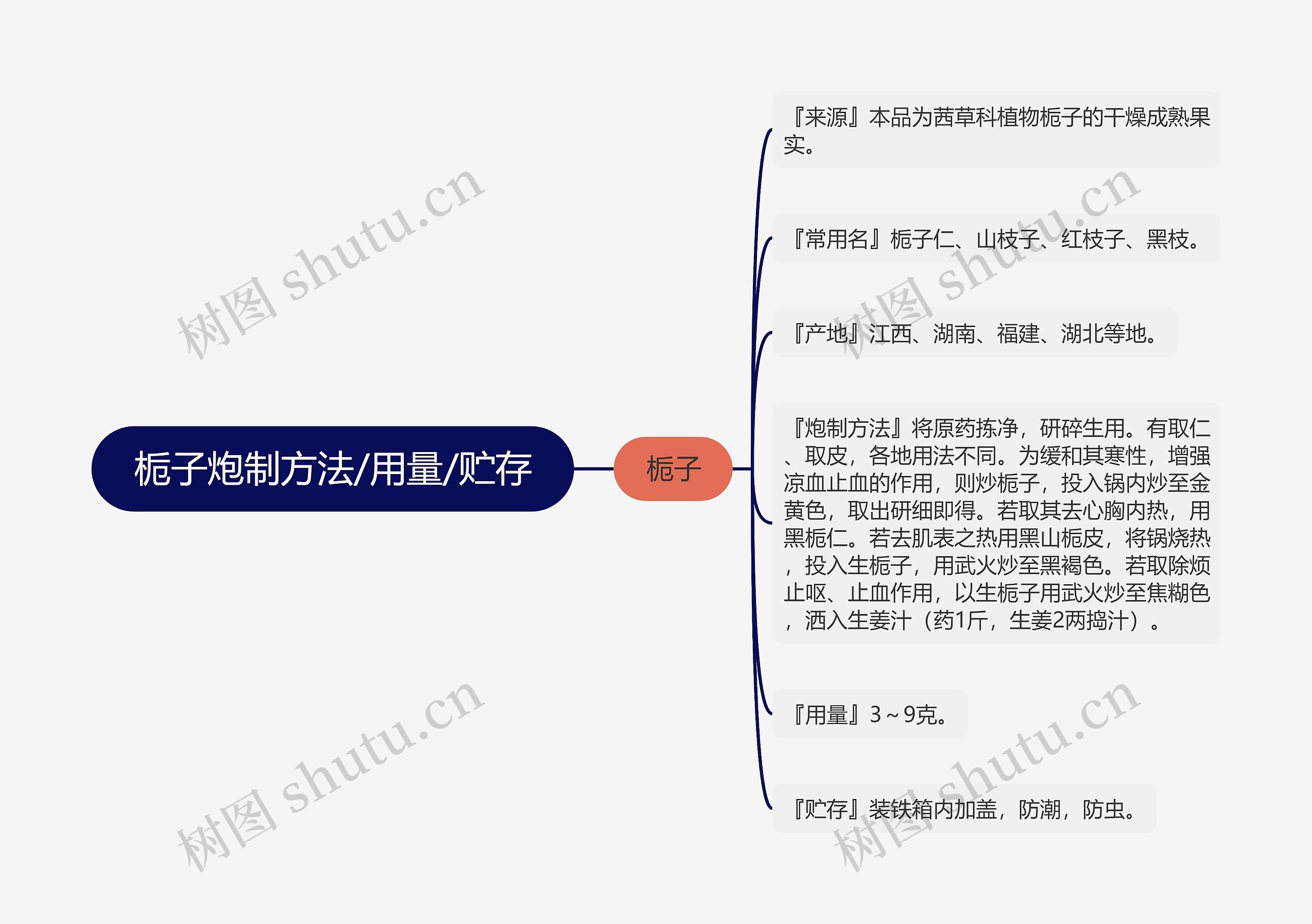 栀子炮制方法/用量/贮存思维导图