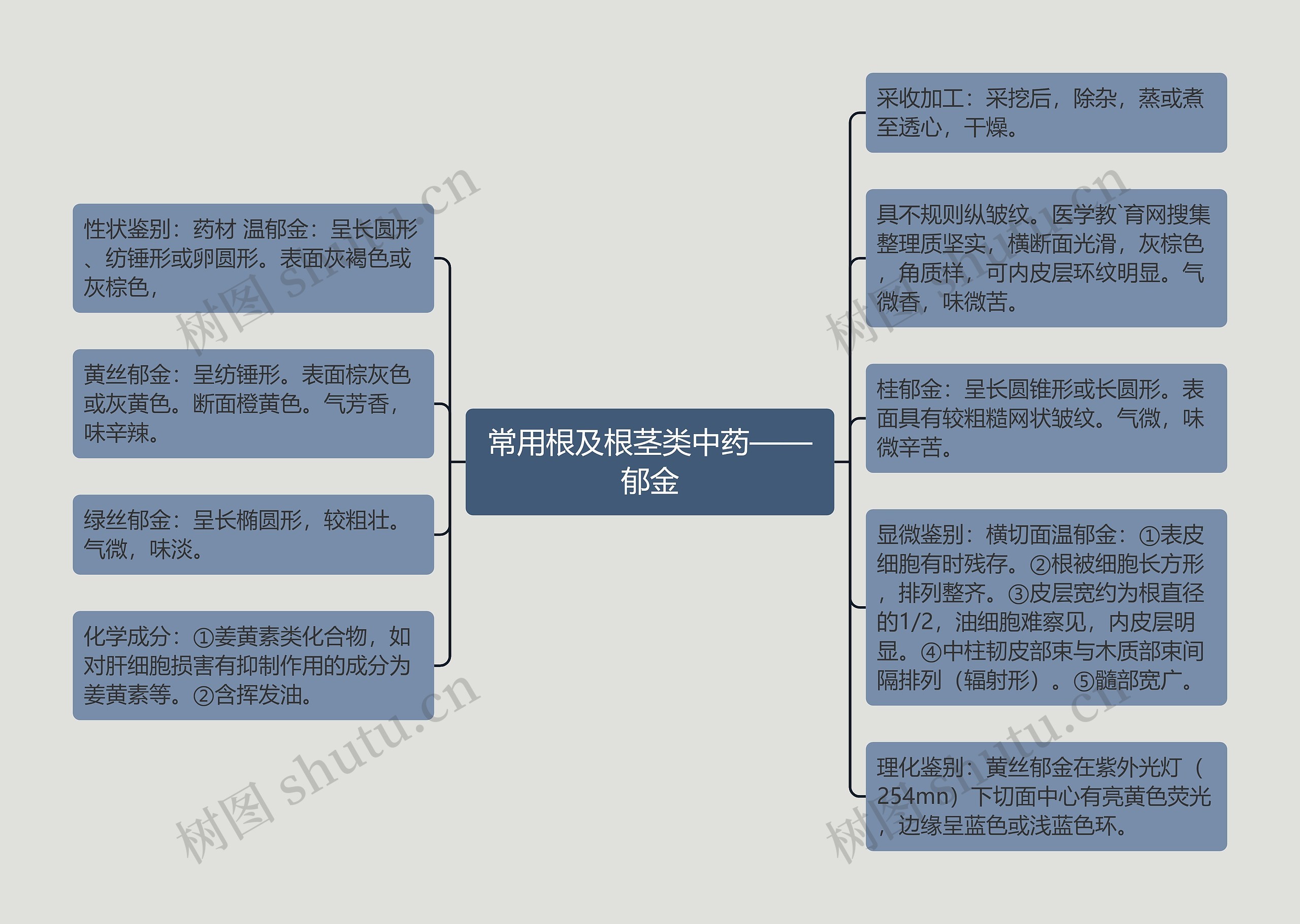 常用根及根茎类中药——郁金思维导图