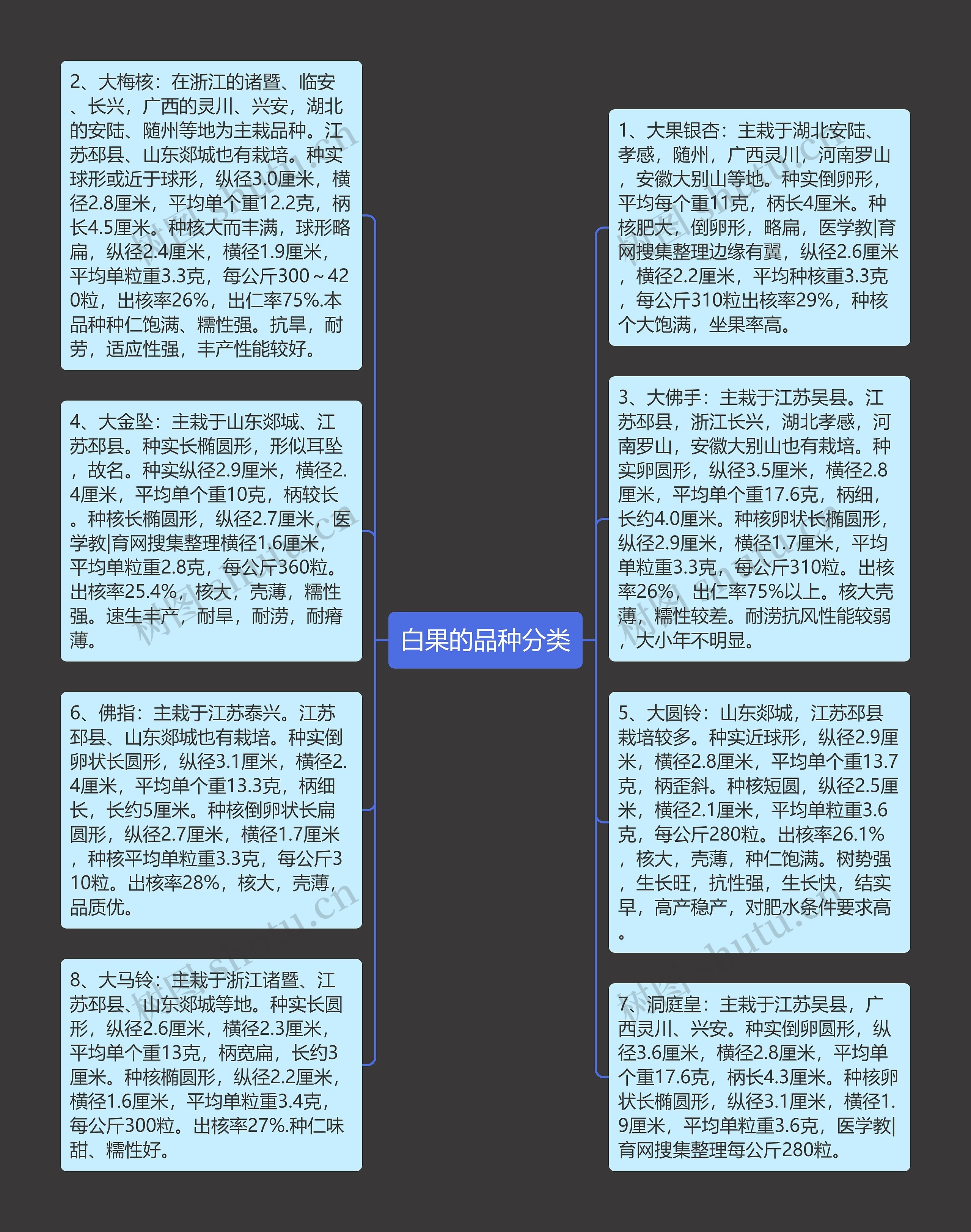 白果的品种分类思维导图