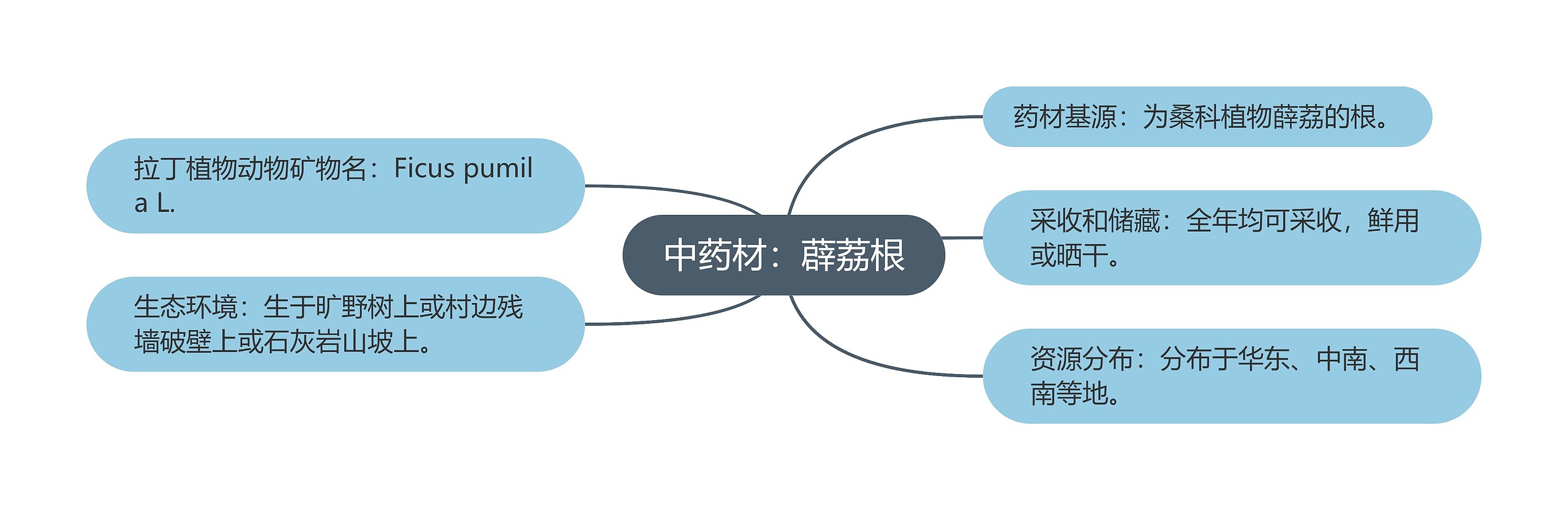 中药材：薜荔根思维导图