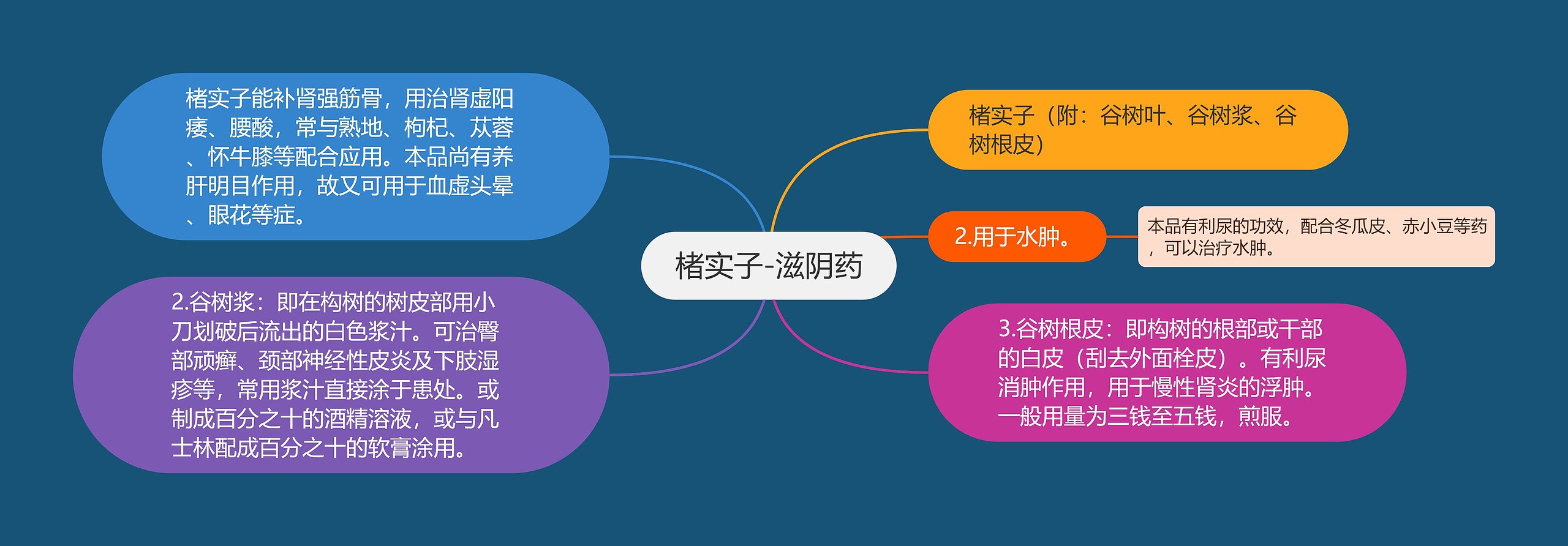 楮实子-滋阴药 楮实子-滋阴药