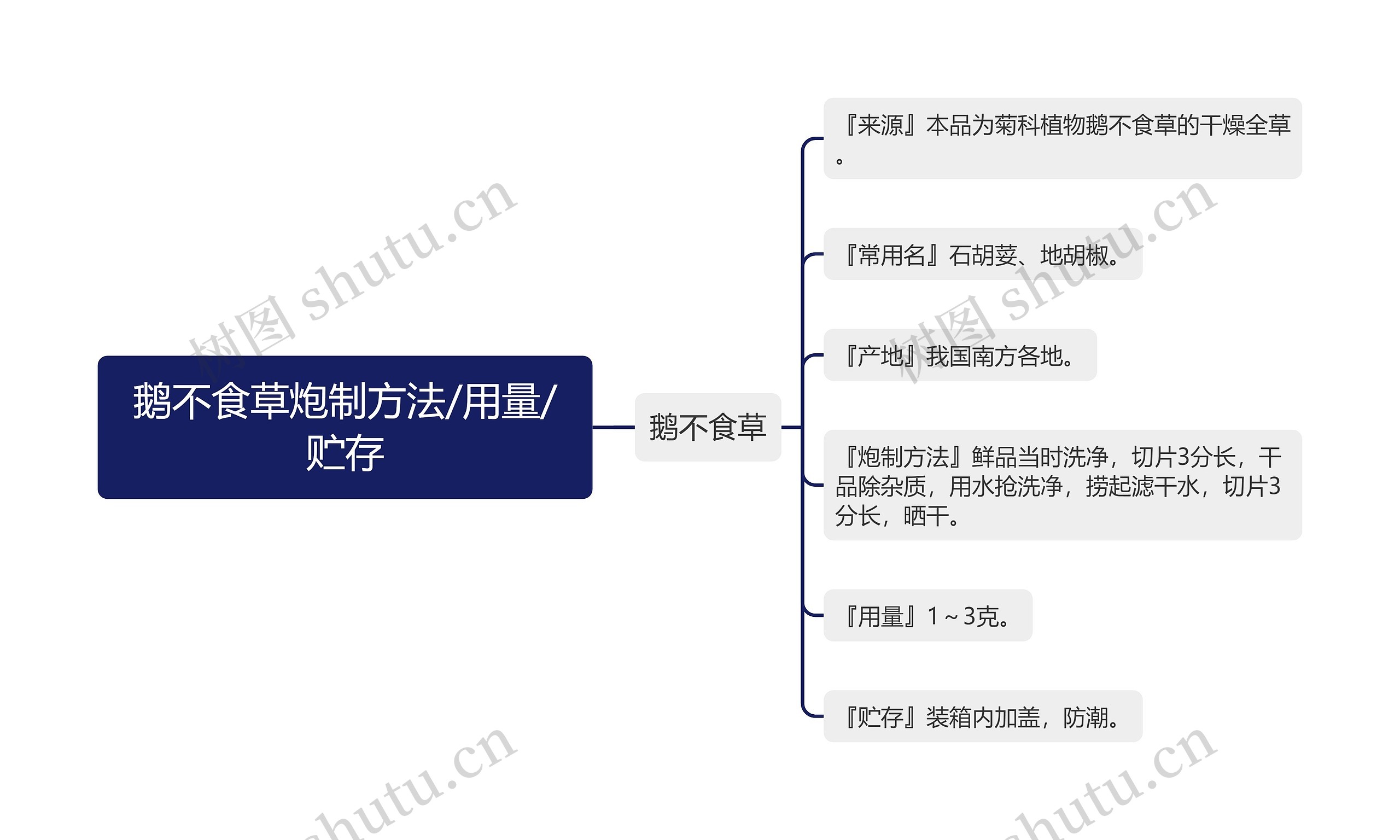 鹅不食草炮制方法/用量/贮存思维导图