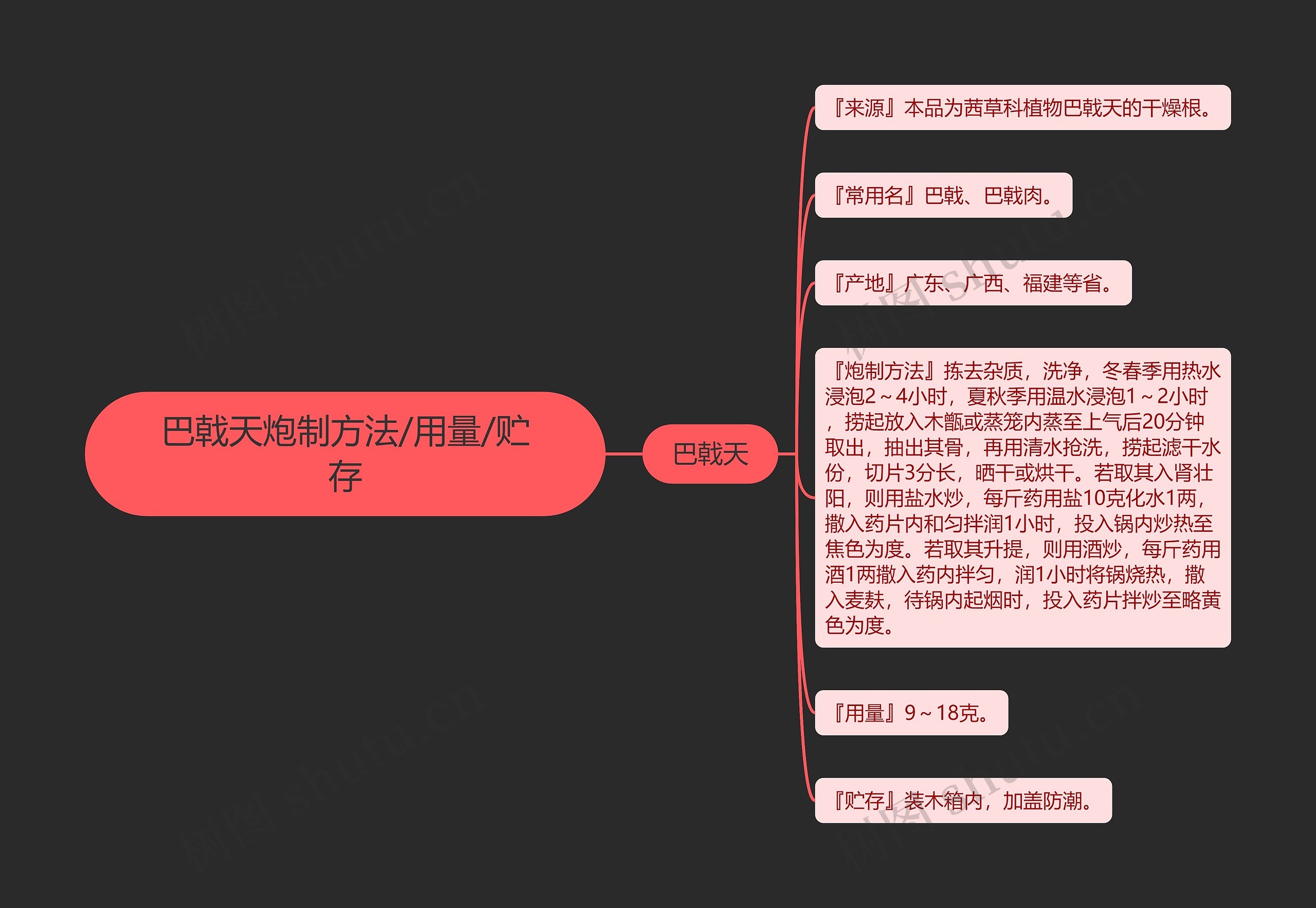 巴戟天炮制方法/用量/贮存思维导图