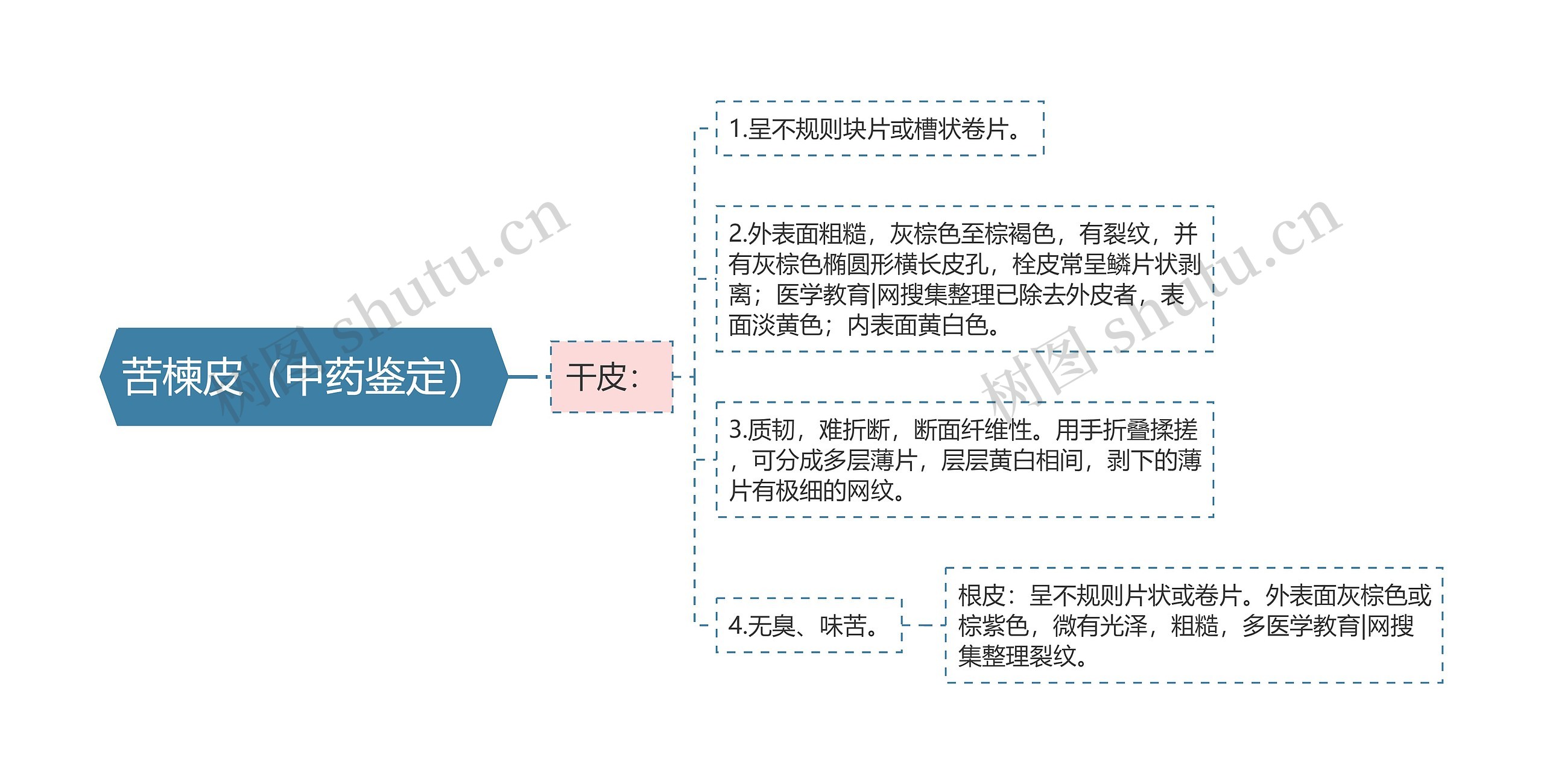 苦楝皮（中药鉴定）思维导图