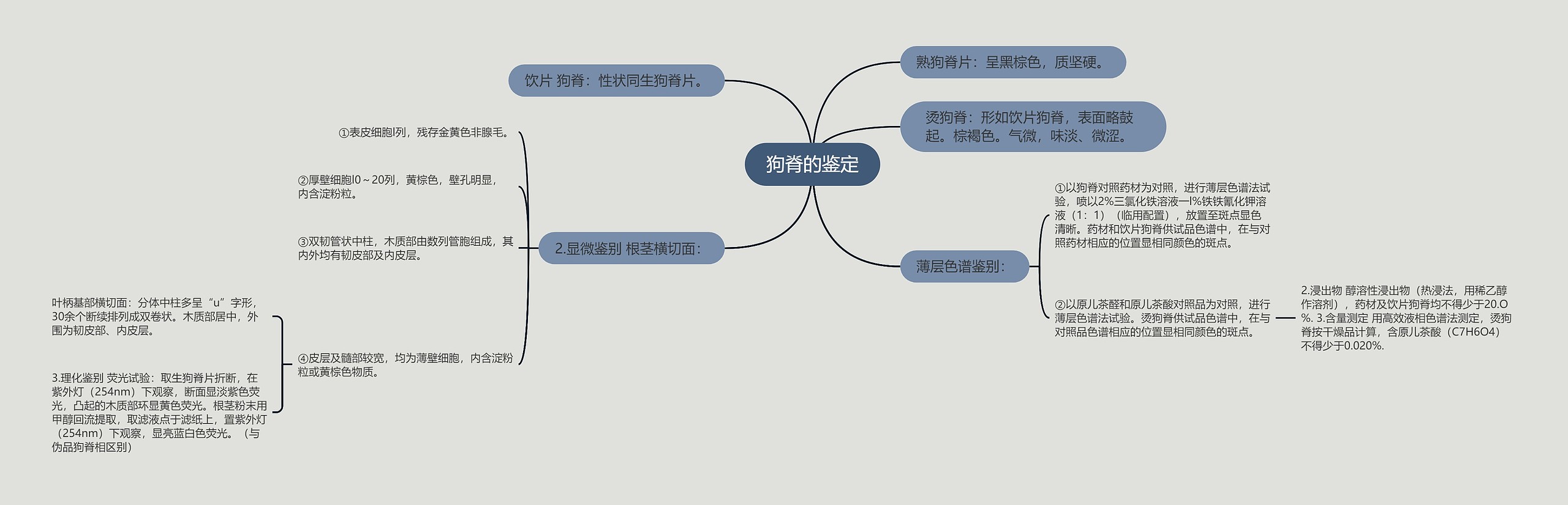 狗脊的鉴定思维导图