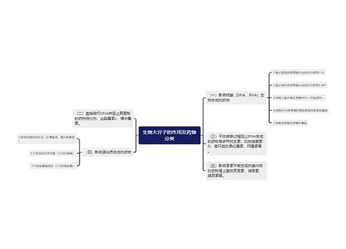 生物大分子的作用及药物分类