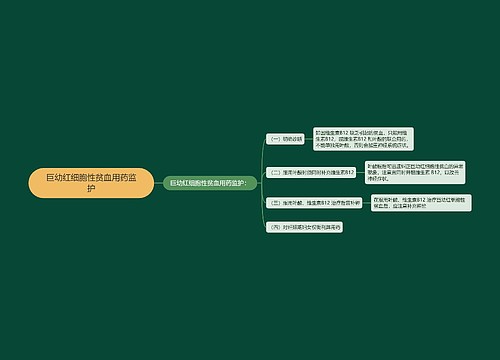 巨幼红细胞性贫血用药监护