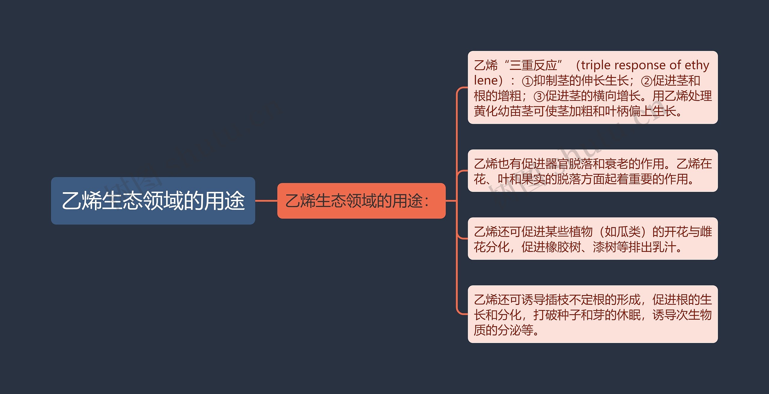 乙烯生态领域的用途思维导图