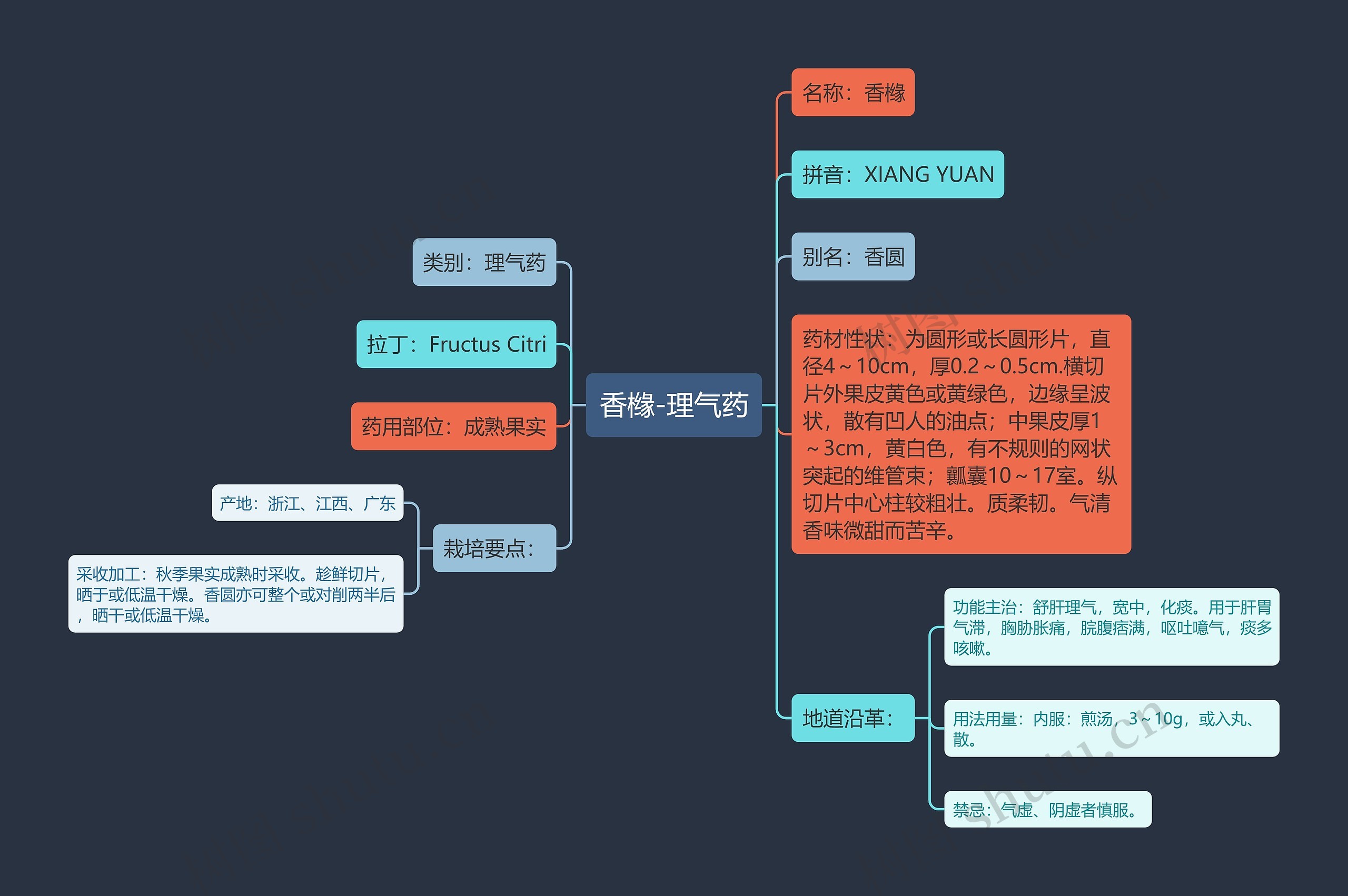 香橼-理气药思维导图