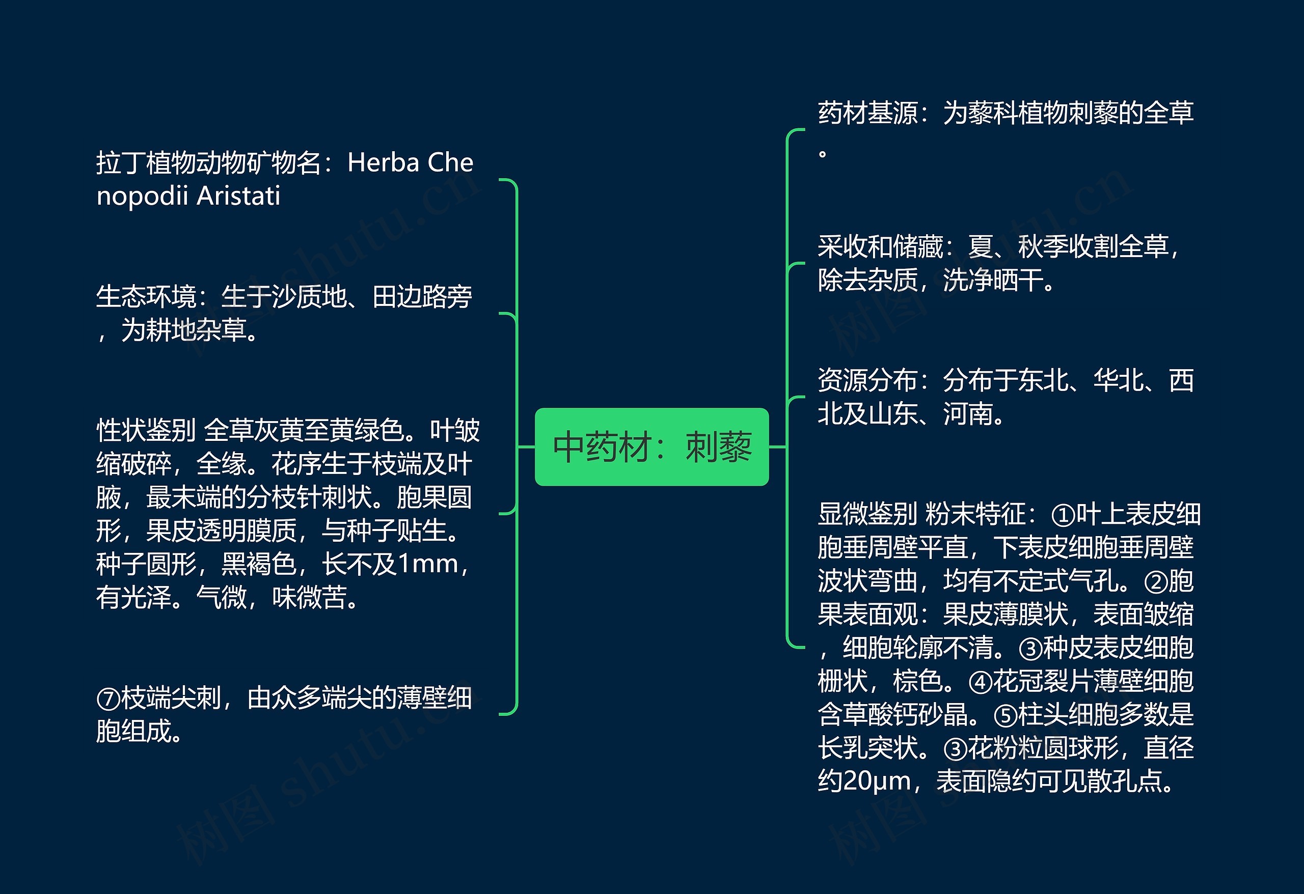 中药材：刺藜