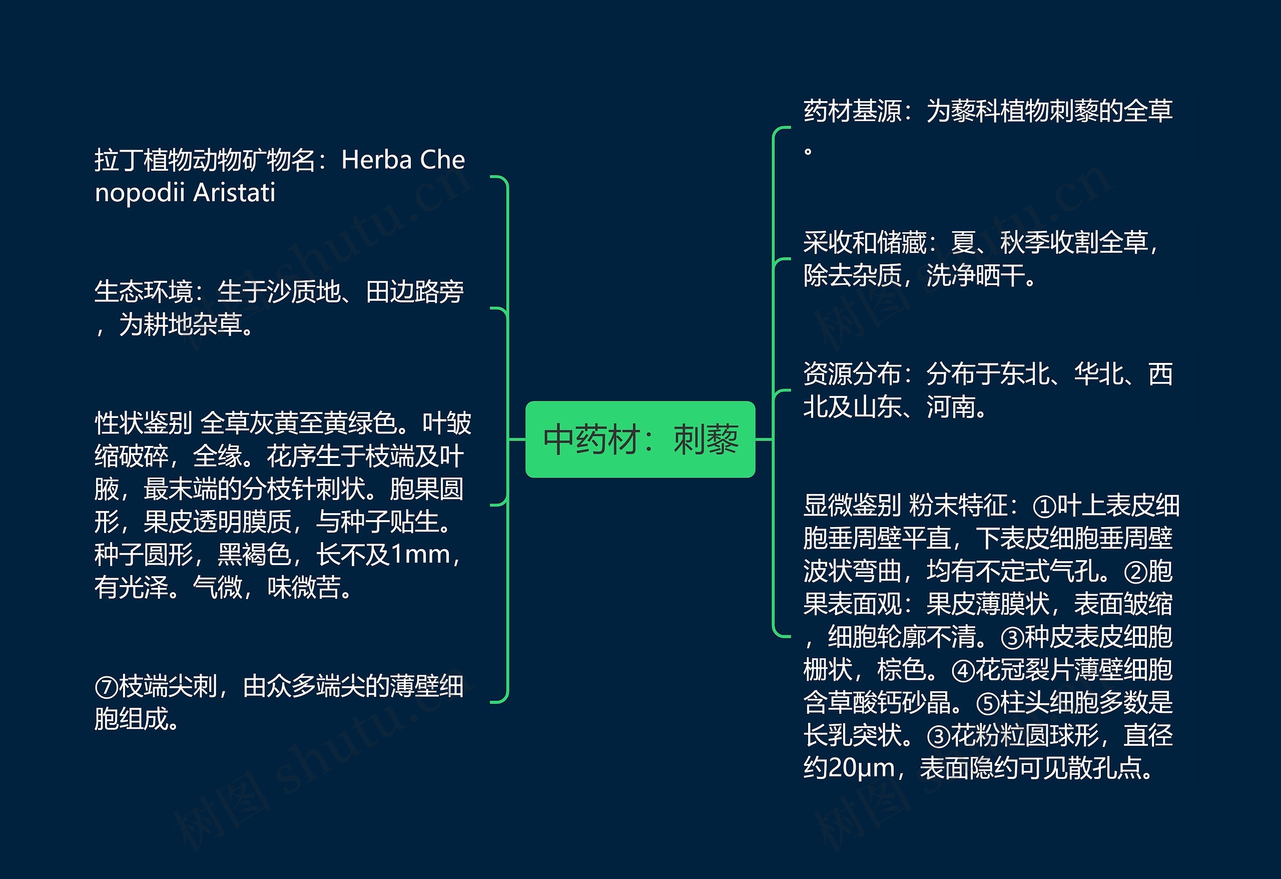 中药材：刺藜思维导图