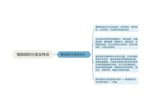 植物组织分类及特点