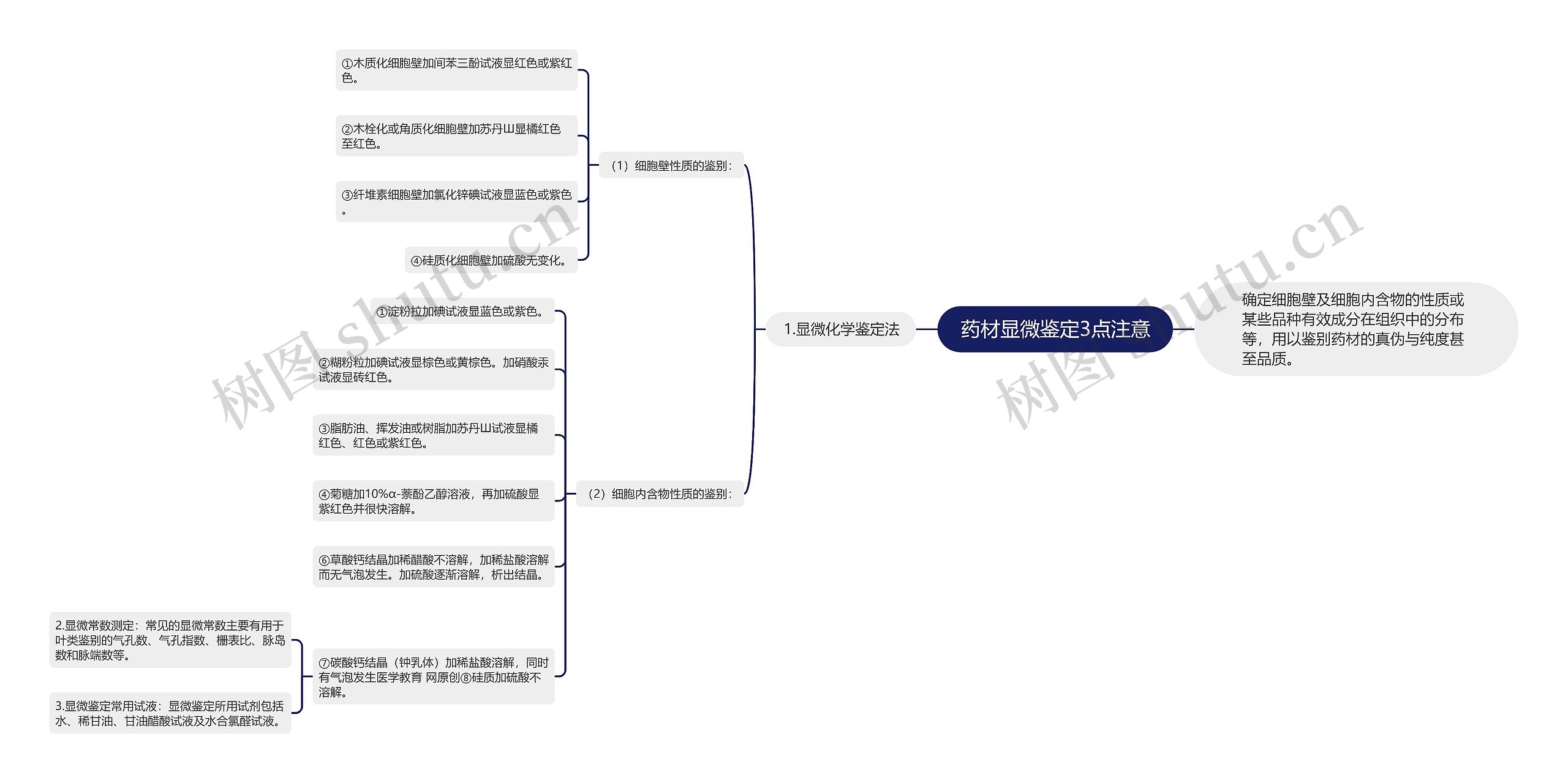 药材显微鉴定3点注意思维导图
