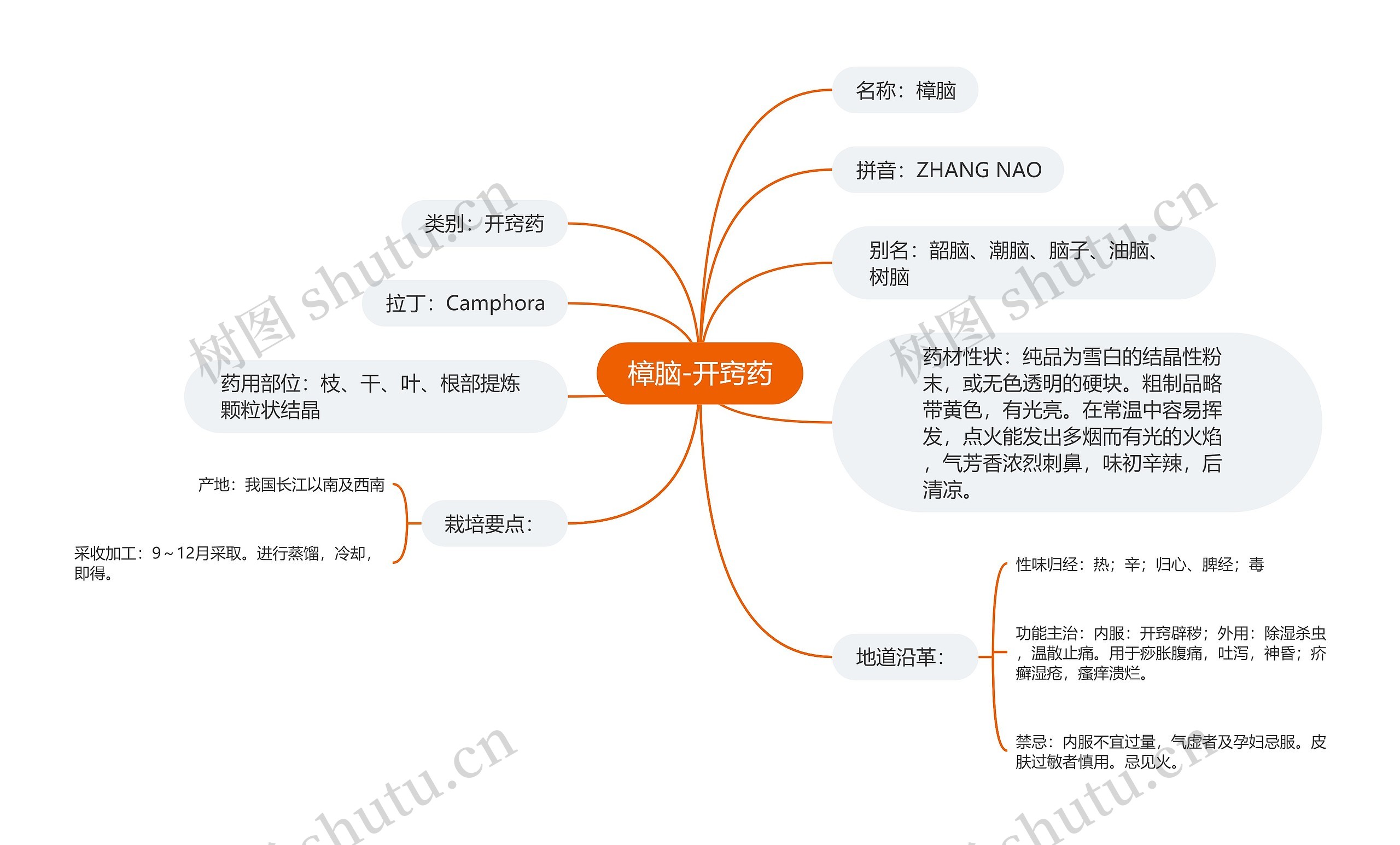 樟脑-开窍药思维导图