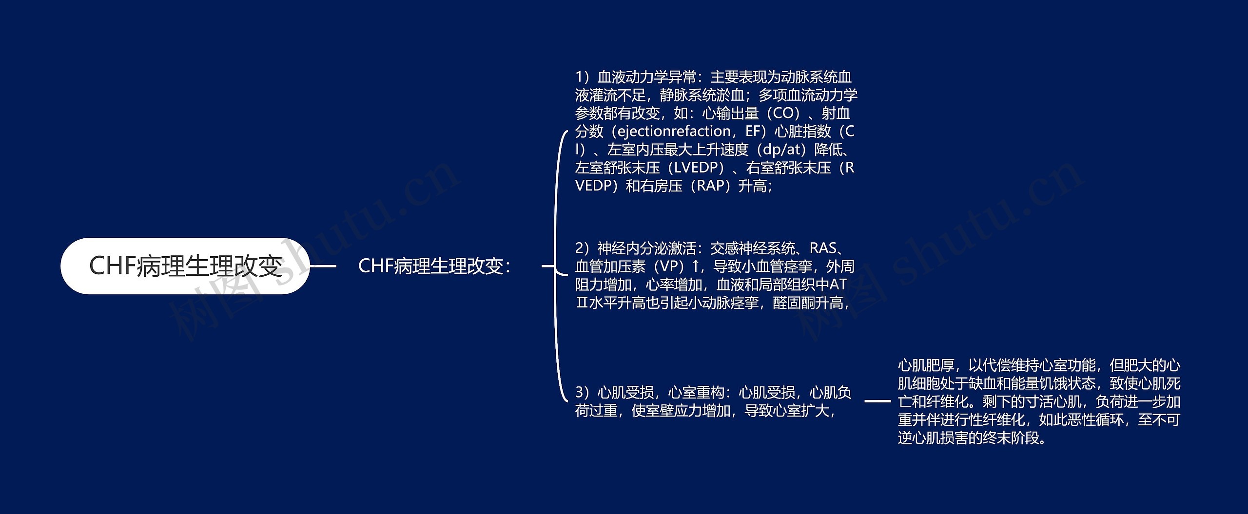 CHF病理生理改变 CHF病理生理改变