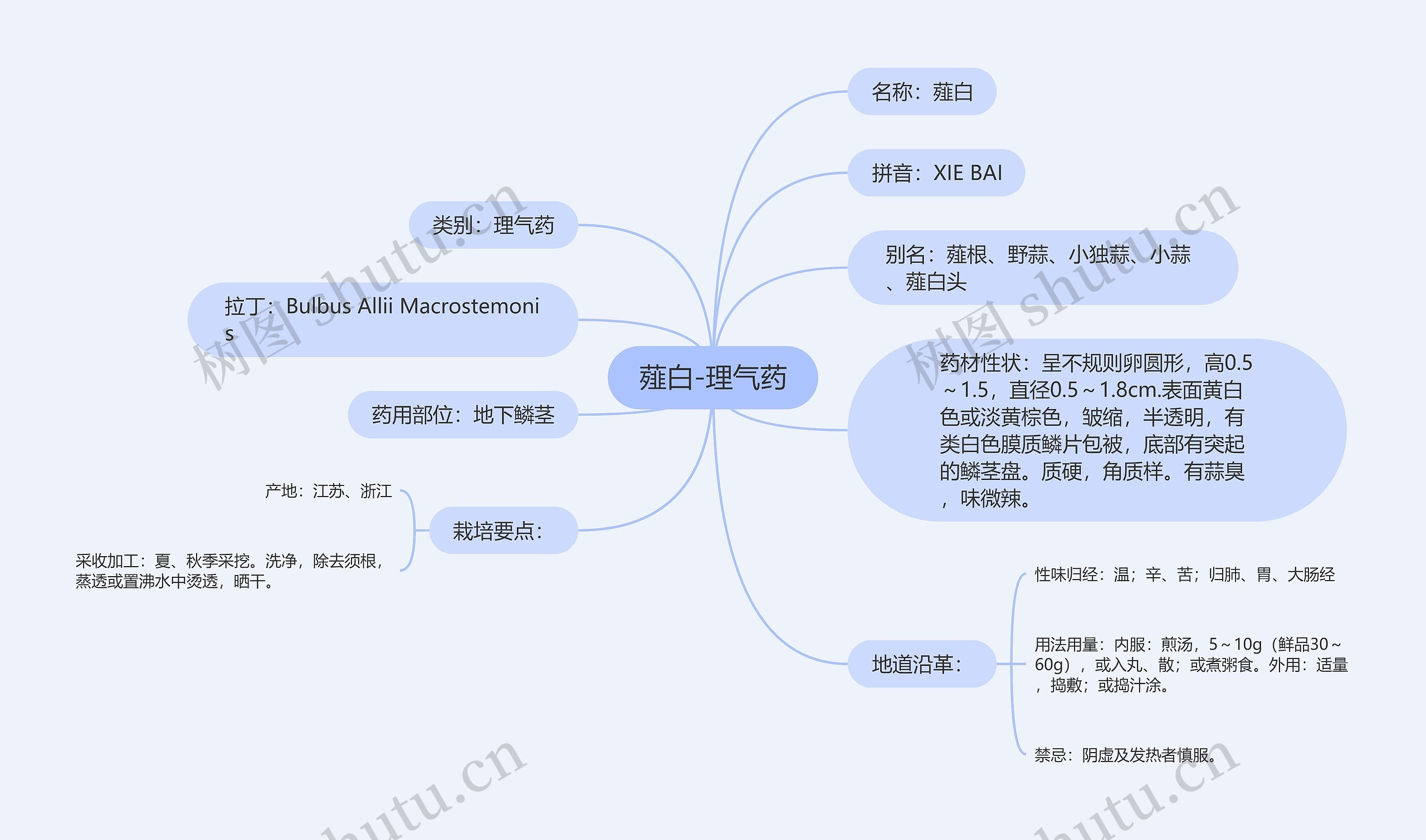 薤白-理气药思维导图