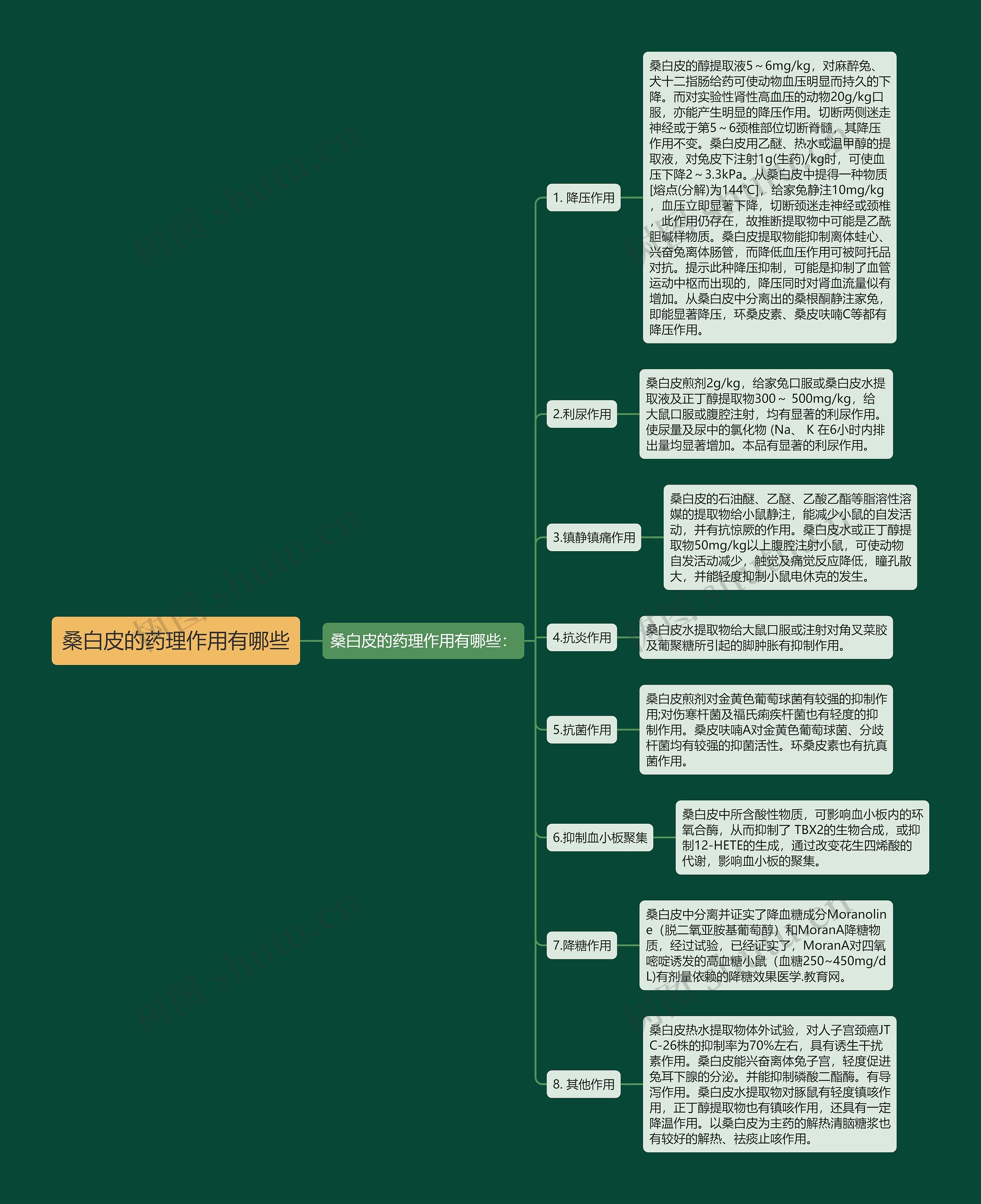 桑白皮的药理作用有哪些思维导图