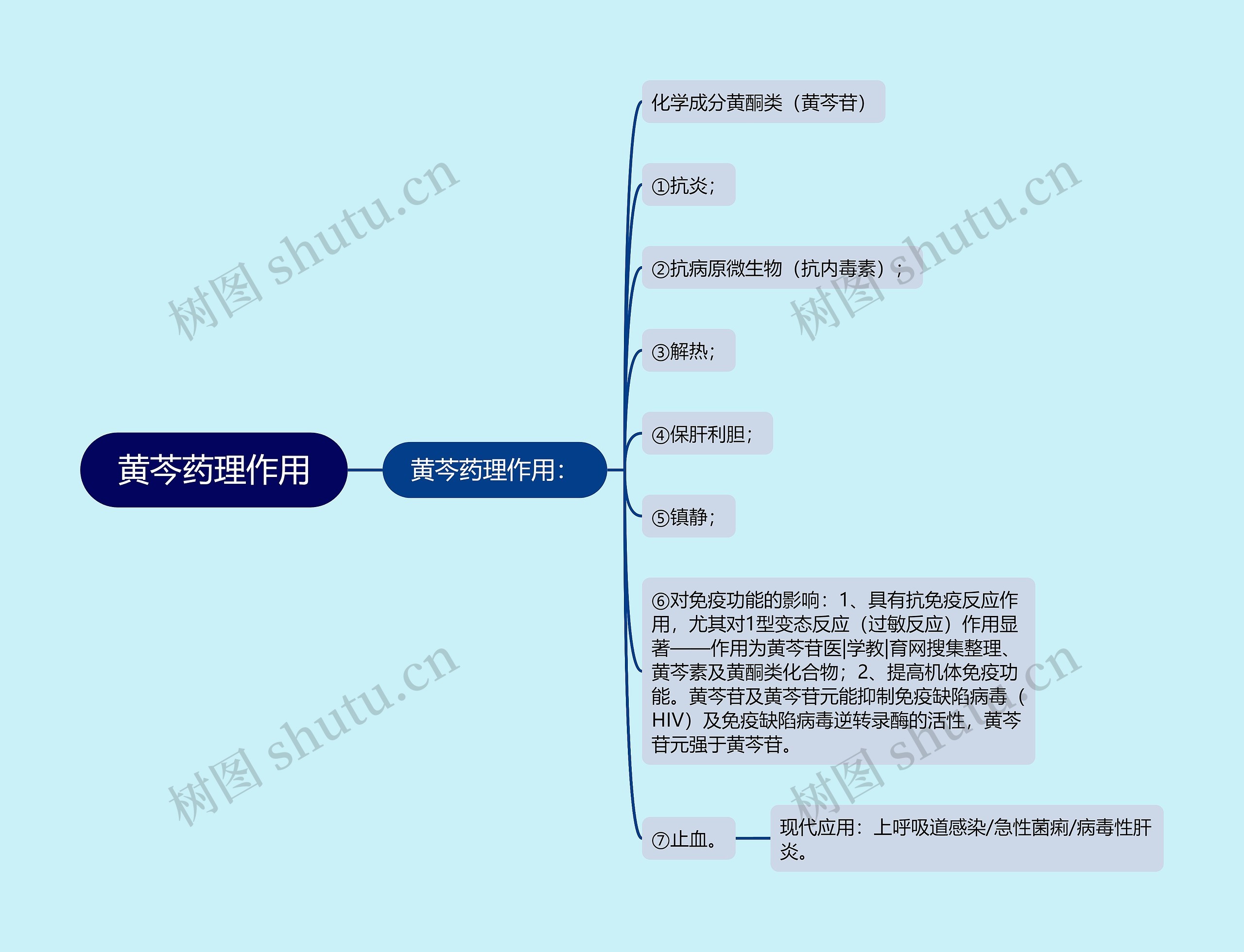 黄芩药理作用思维导图